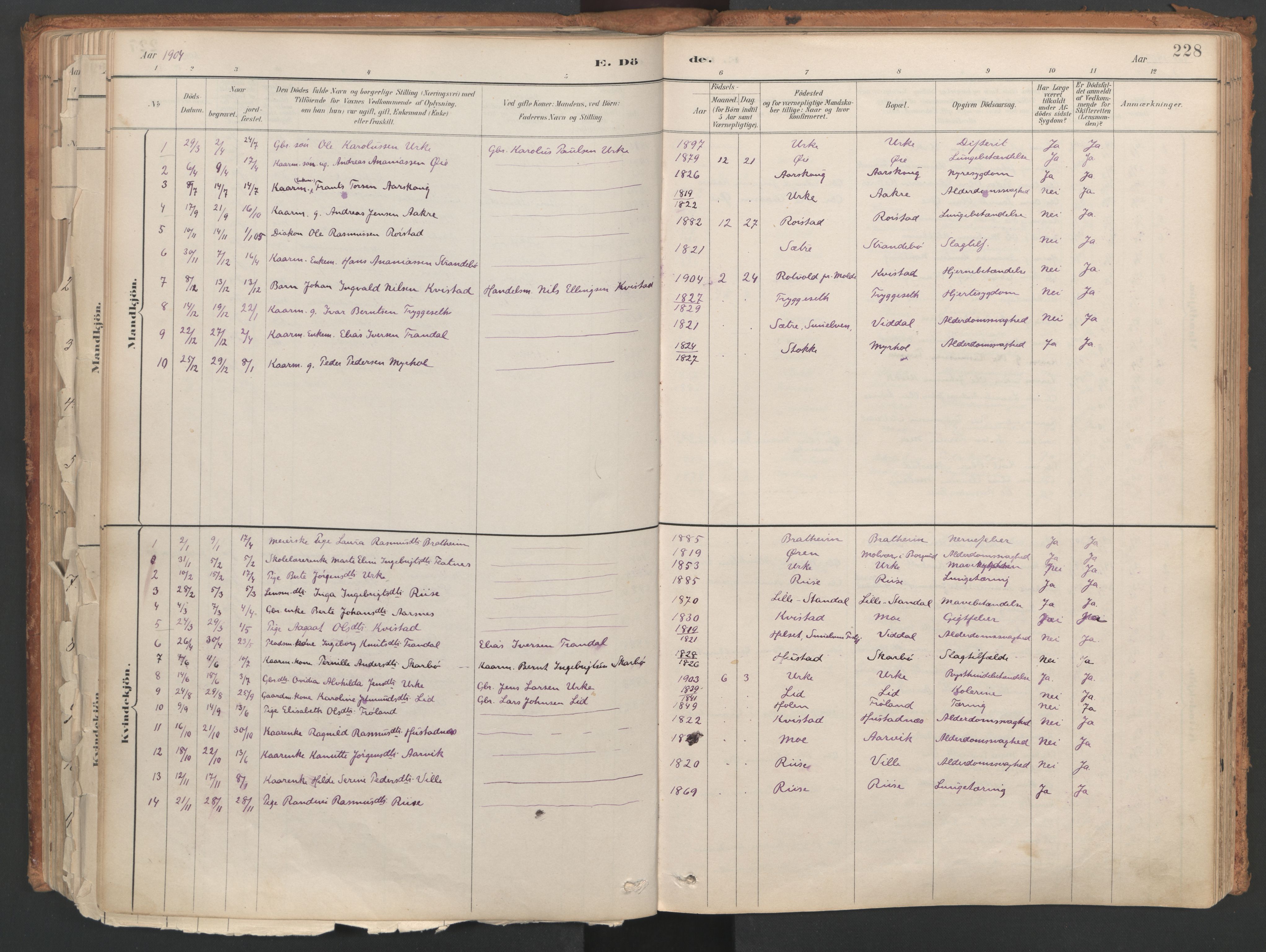 Ministerialprotokoller, klokkerbøker og fødselsregistre - Møre og Romsdal, AV/SAT-A-1454/515/L0211: Ministerialbok nr. 515A07, 1886-1910, s. 228