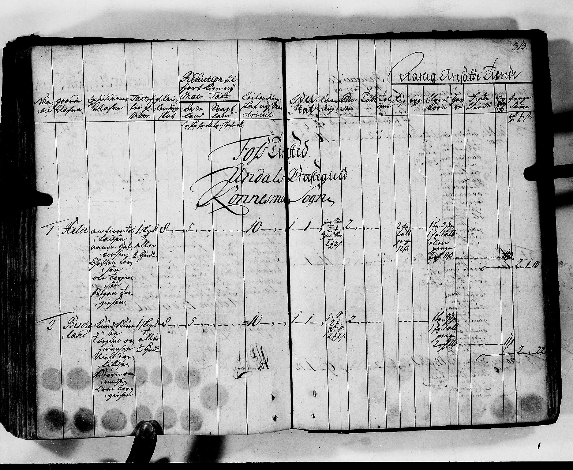 Rentekammeret inntil 1814, Realistisk ordnet avdeling, RA/EA-4070/N/Nb/Nbf/L0130: Lista matrikkelprotokoll, 1723, s. 313