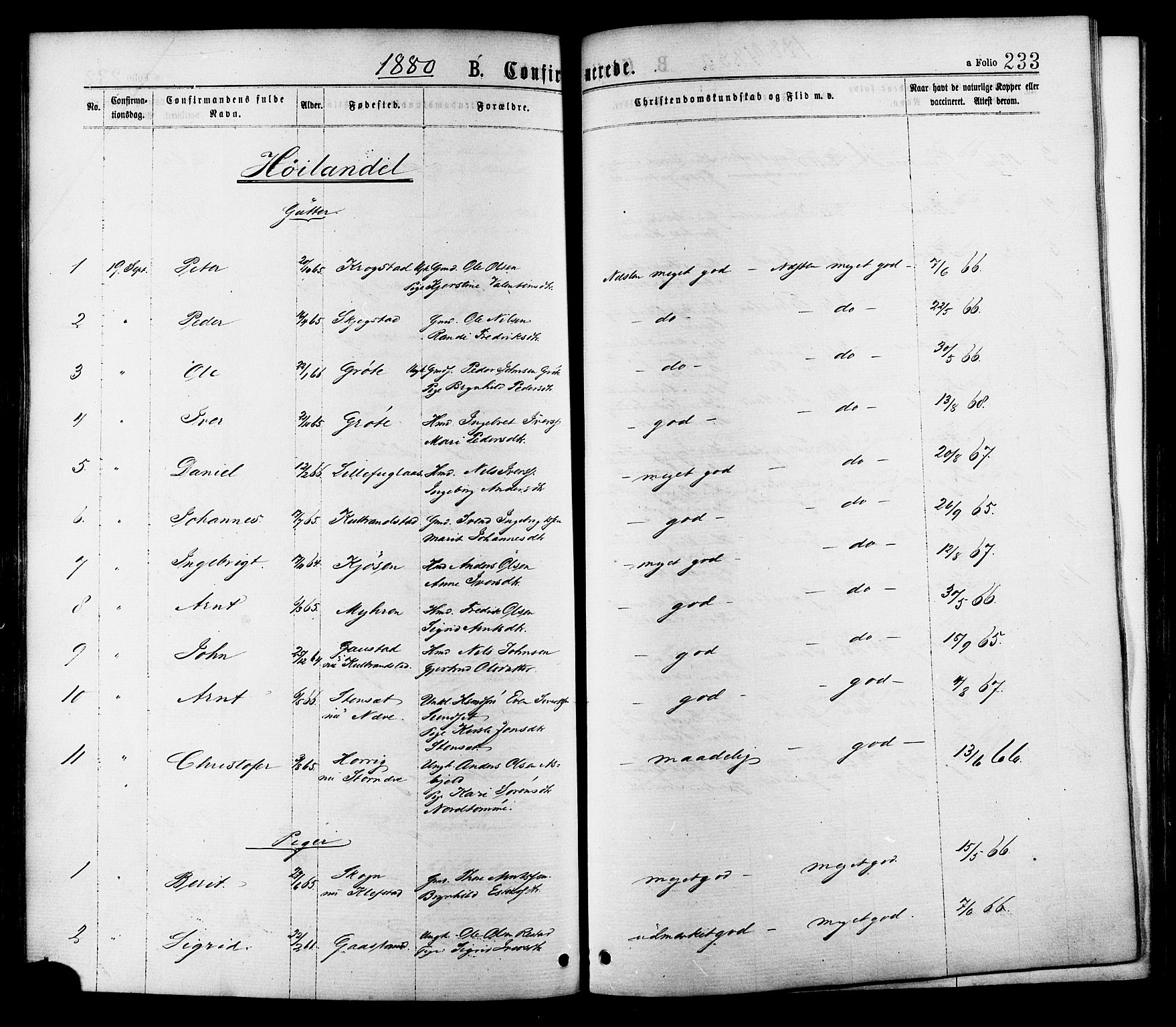 Ministerialprotokoller, klokkerbøker og fødselsregistre - Sør-Trøndelag, AV/SAT-A-1456/691/L1079: Ministerialbok nr. 691A11, 1873-1886, s. 233