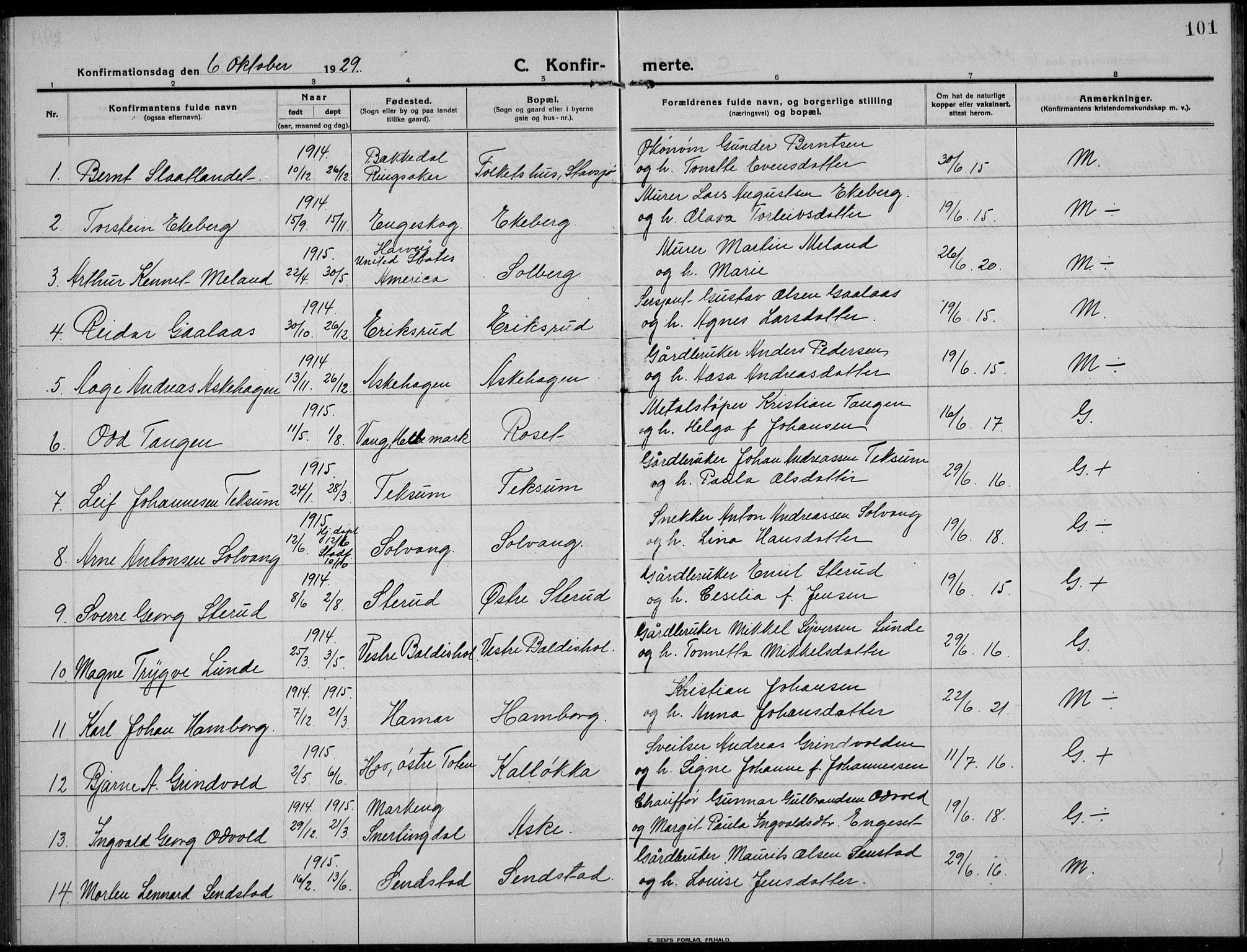 Nes prestekontor, Hedmark, AV/SAH-PREST-020/L/La/L0009: Klokkerbok nr. 9, 1913-1936, s. 101