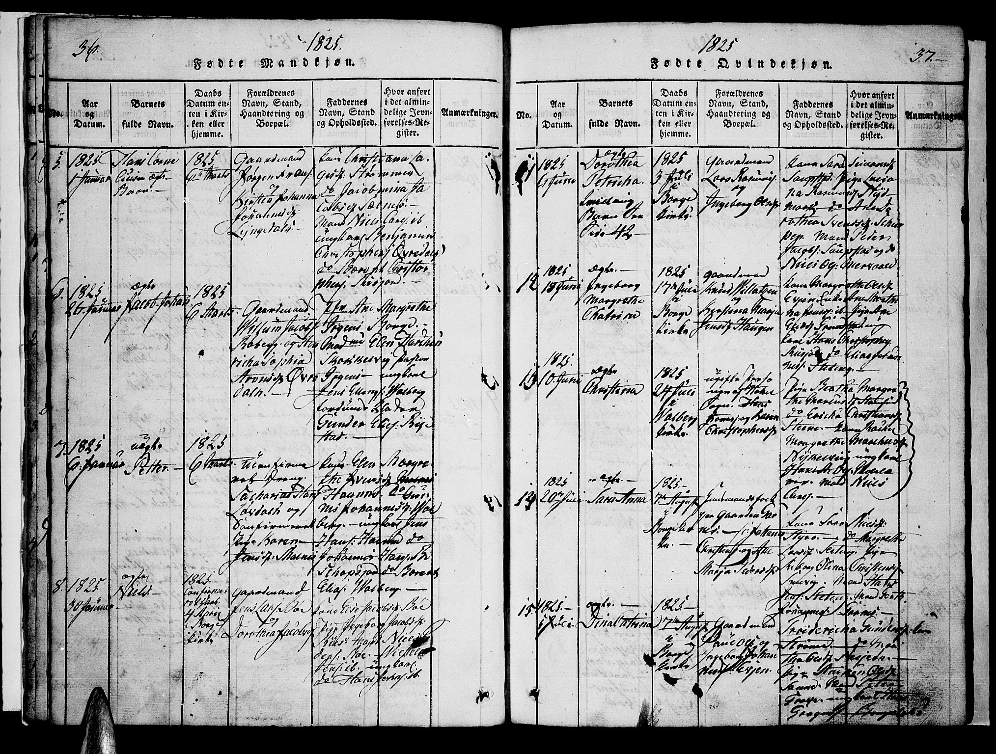 Ministerialprotokoller, klokkerbøker og fødselsregistre - Nordland, AV/SAT-A-1459/880/L1130: Ministerialbok nr. 880A04, 1821-1843, s. 36-37