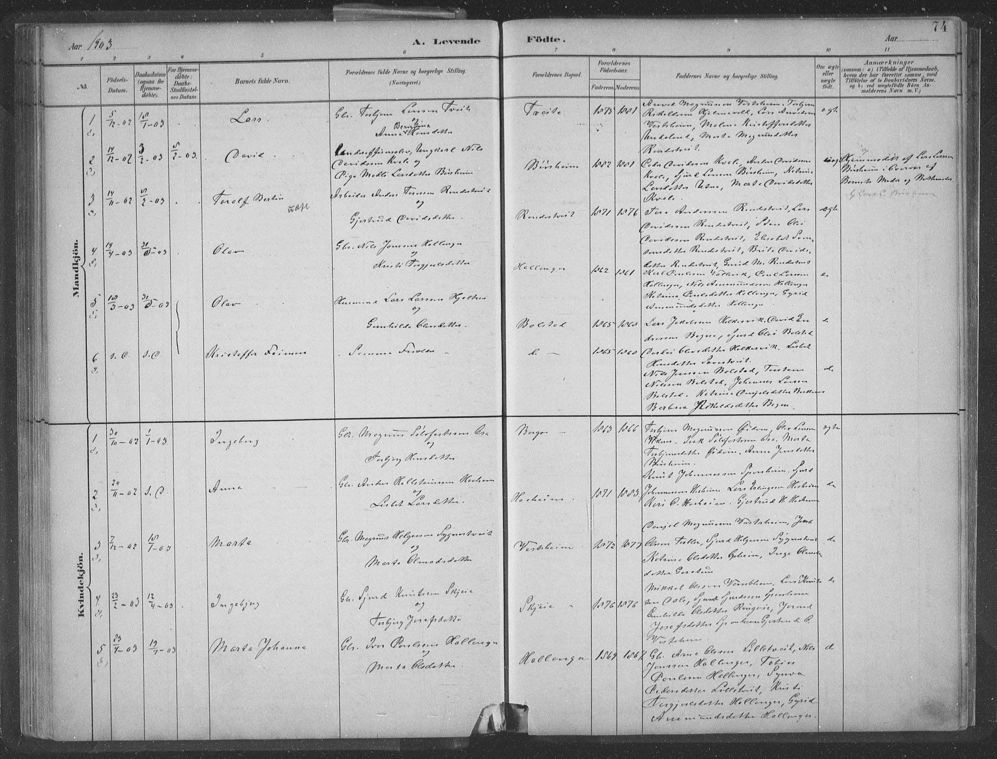 Ulvik sokneprestembete, AV/SAB-A-78801/H/Hab: Klokkerbok nr. A 3, 1883-1908, s. 74