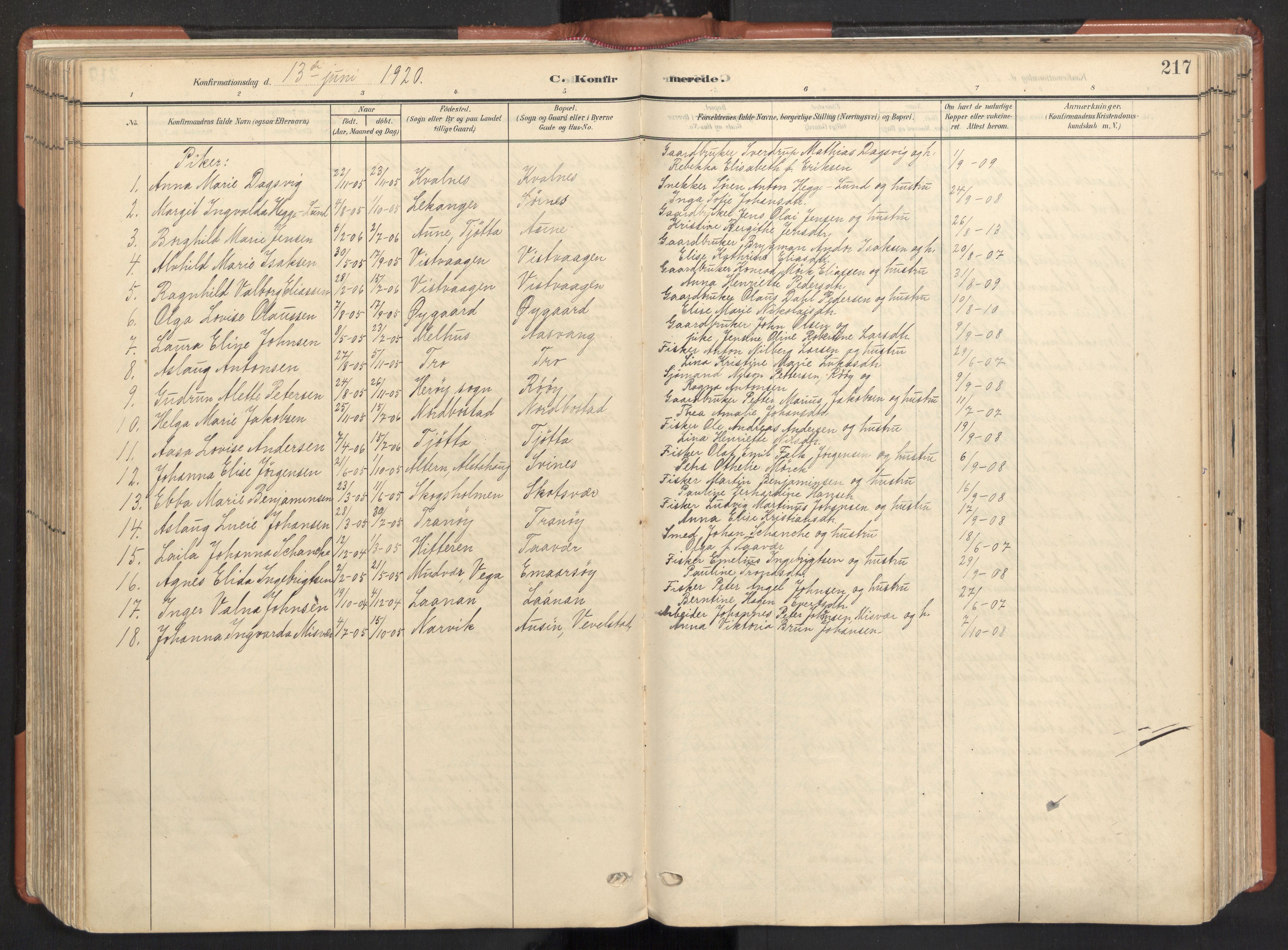 Ministerialprotokoller, klokkerbøker og fødselsregistre - Nordland, AV/SAT-A-1459/817/L0265: Ministerialbok nr. 817A05, 1908-1944, s. 217