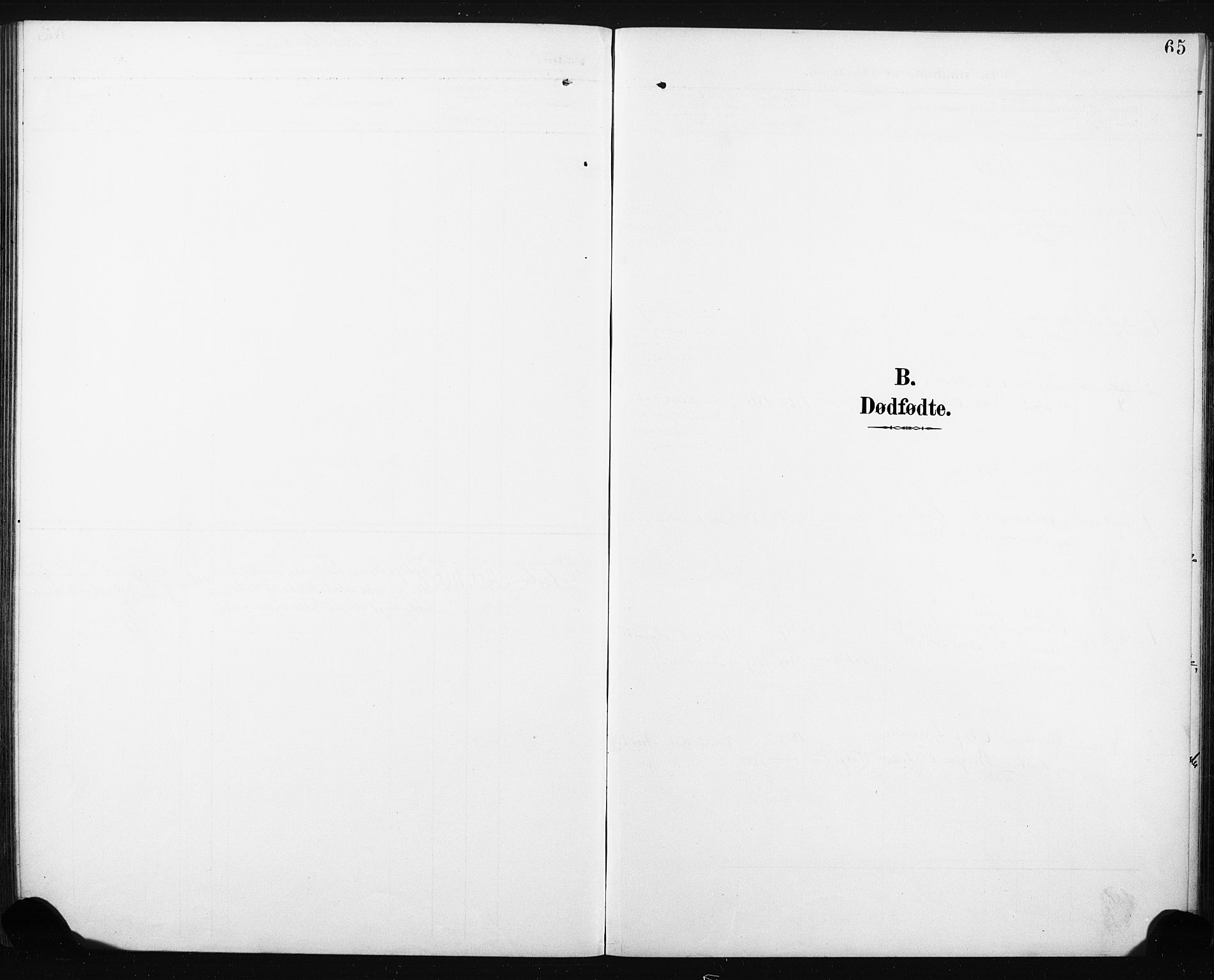Eiker kirkebøker, SAKO/A-4/F/Fc/L0002: Ministerialbok nr. III 2, 1889-1897, s. 65