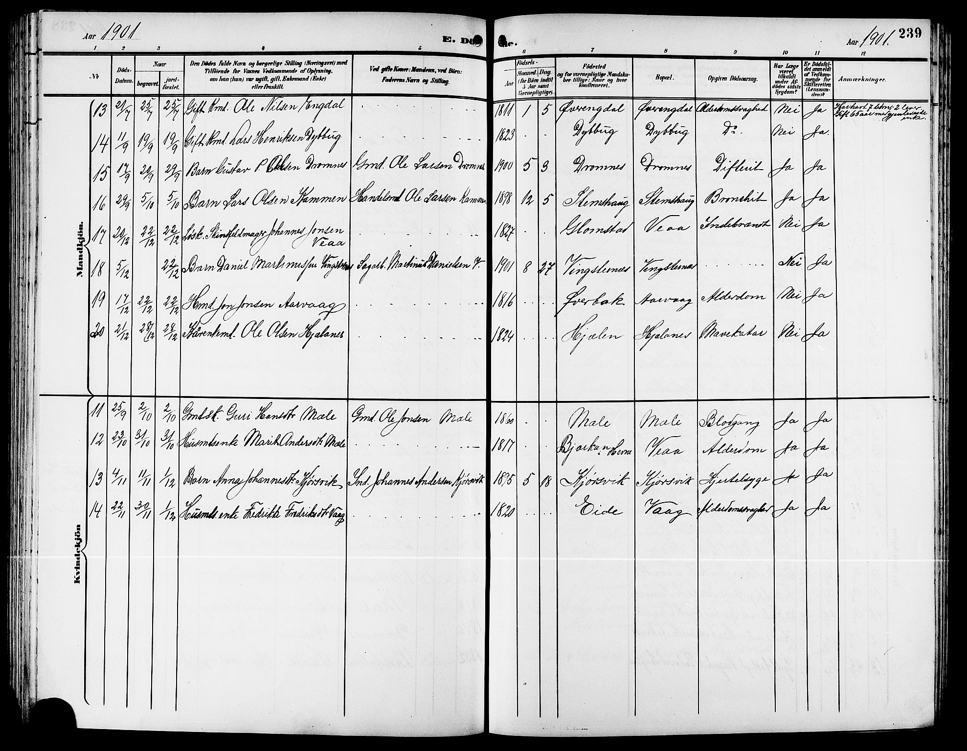 Ministerialprotokoller, klokkerbøker og fødselsregistre - Møre og Romsdal, AV/SAT-A-1454/578/L0910: Klokkerbok nr. 578C03, 1900-1921, s. 239