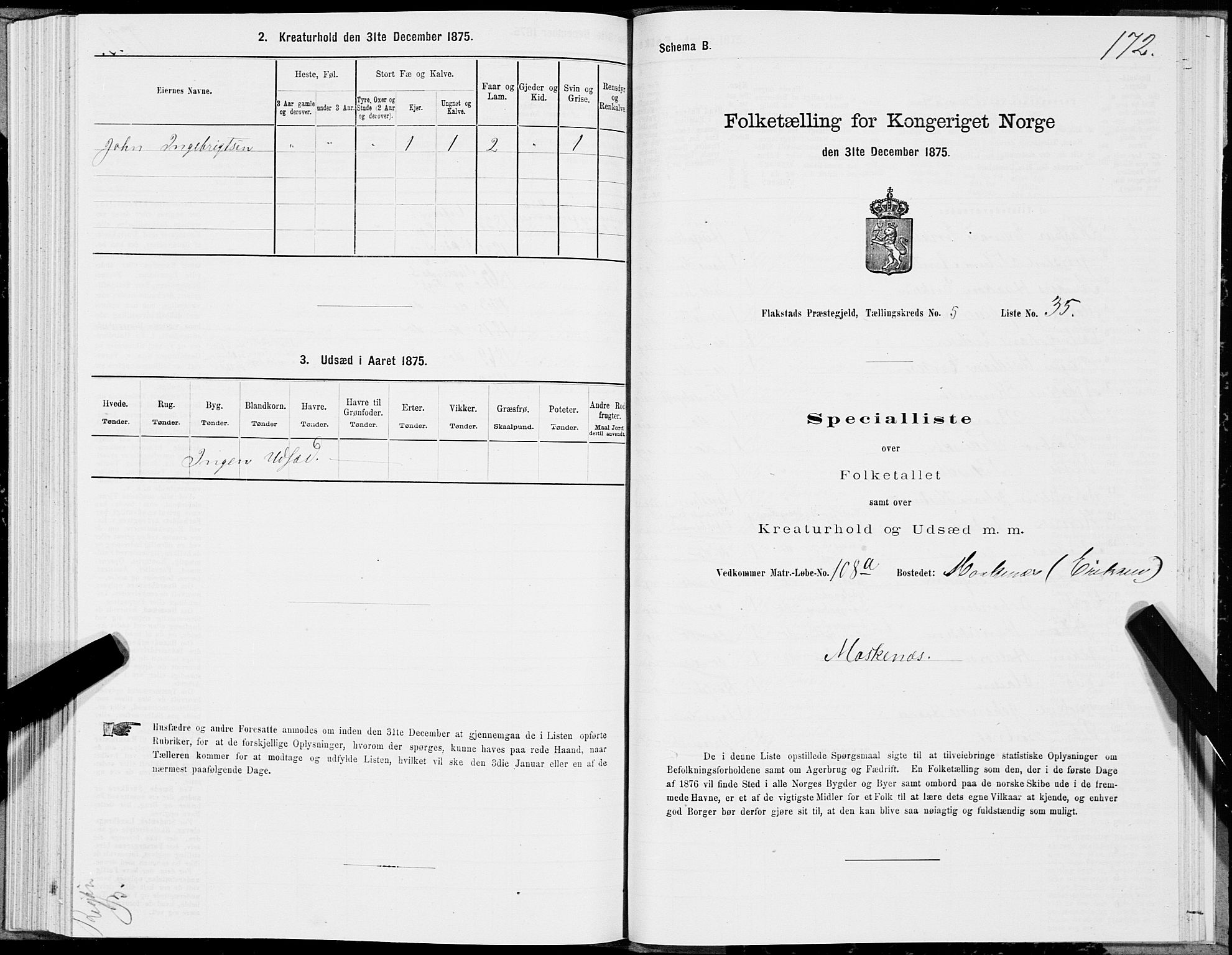 SAT, Folketelling 1875 for 1859P Flakstad prestegjeld, 1875, s. 2172