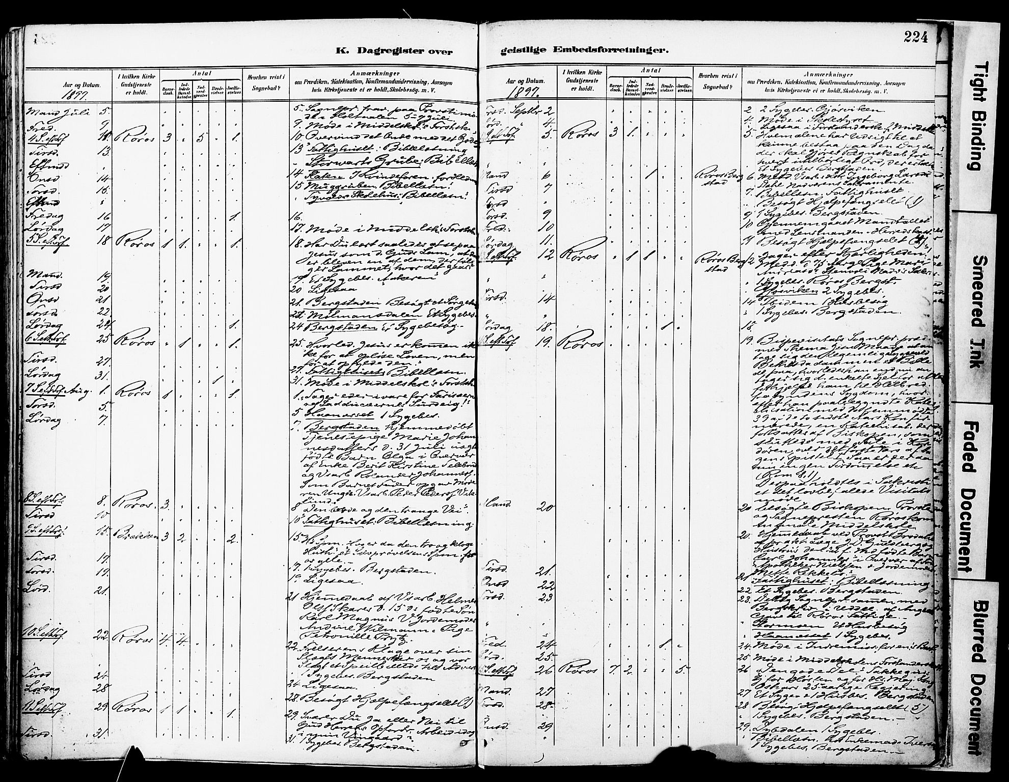 Ministerialprotokoller, klokkerbøker og fødselsregistre - Sør-Trøndelag, SAT/A-1456/681/L0935: Ministerialbok nr. 681A13, 1890-1898, s. 224