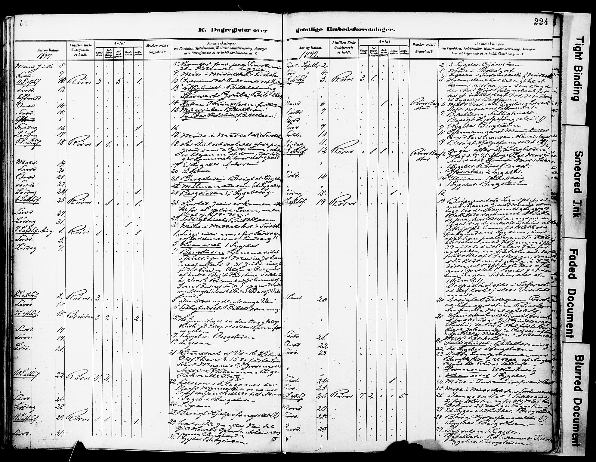 Ministerialprotokoller, klokkerbøker og fødselsregistre - Sør-Trøndelag, AV/SAT-A-1456/681/L0935: Ministerialbok nr. 681A13, 1890-1898, s. 224