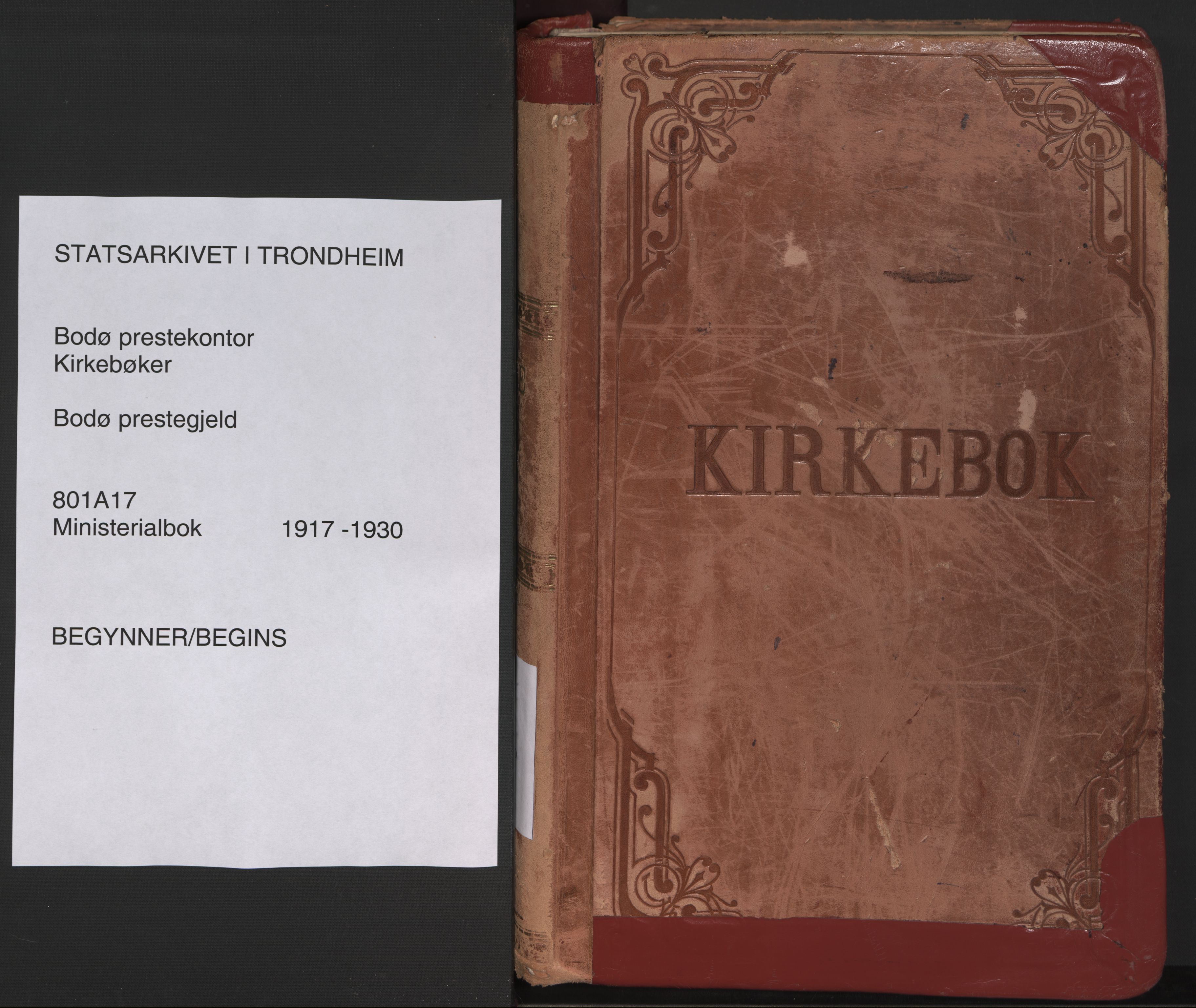 Ministerialprotokoller, klokkerbøker og fødselsregistre - Nordland, SAT/A-1459/801/L0017: Ministerialbok nr. 801A17, 1917-1930