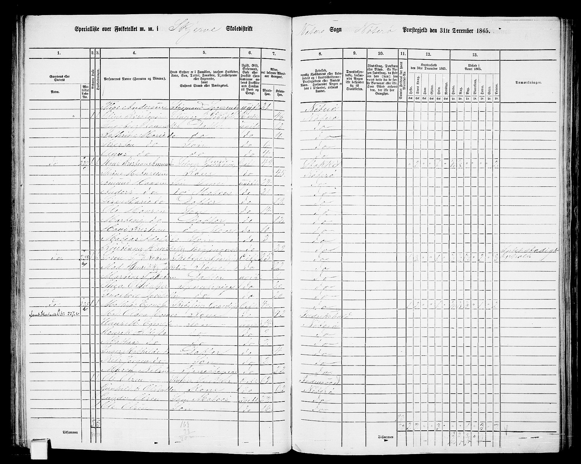 RA, Folketelling 1865 for 0722P Nøtterøy prestegjeld, 1865, s. 144