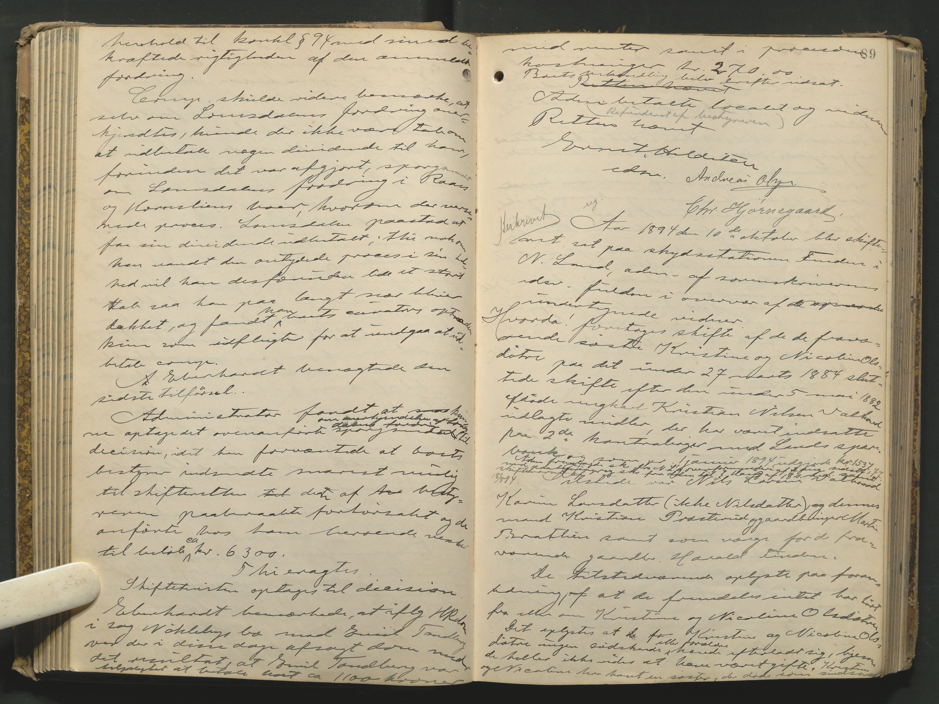 Hadeland og Land tingrett, AV/SAH-TING-010/J/Jc/L0005: Skifteforhandlingsprotokoll, 1893-1916, s. 88b-89a