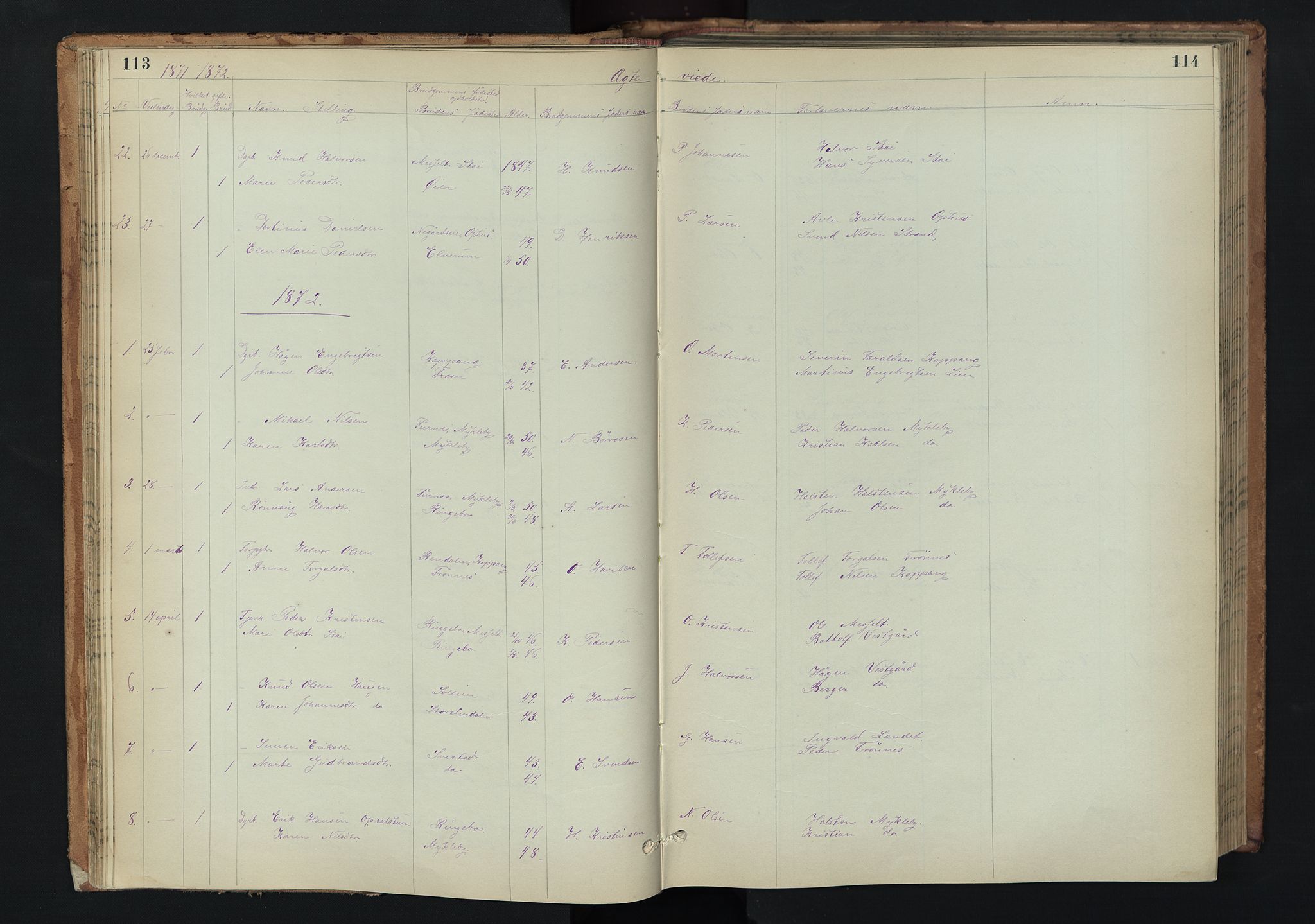 Stor-Elvdal prestekontor, AV/SAH-PREST-052/H/Ha/Hab/L0002: Klokkerbok nr. 2, 1860-1894, s. 113-114