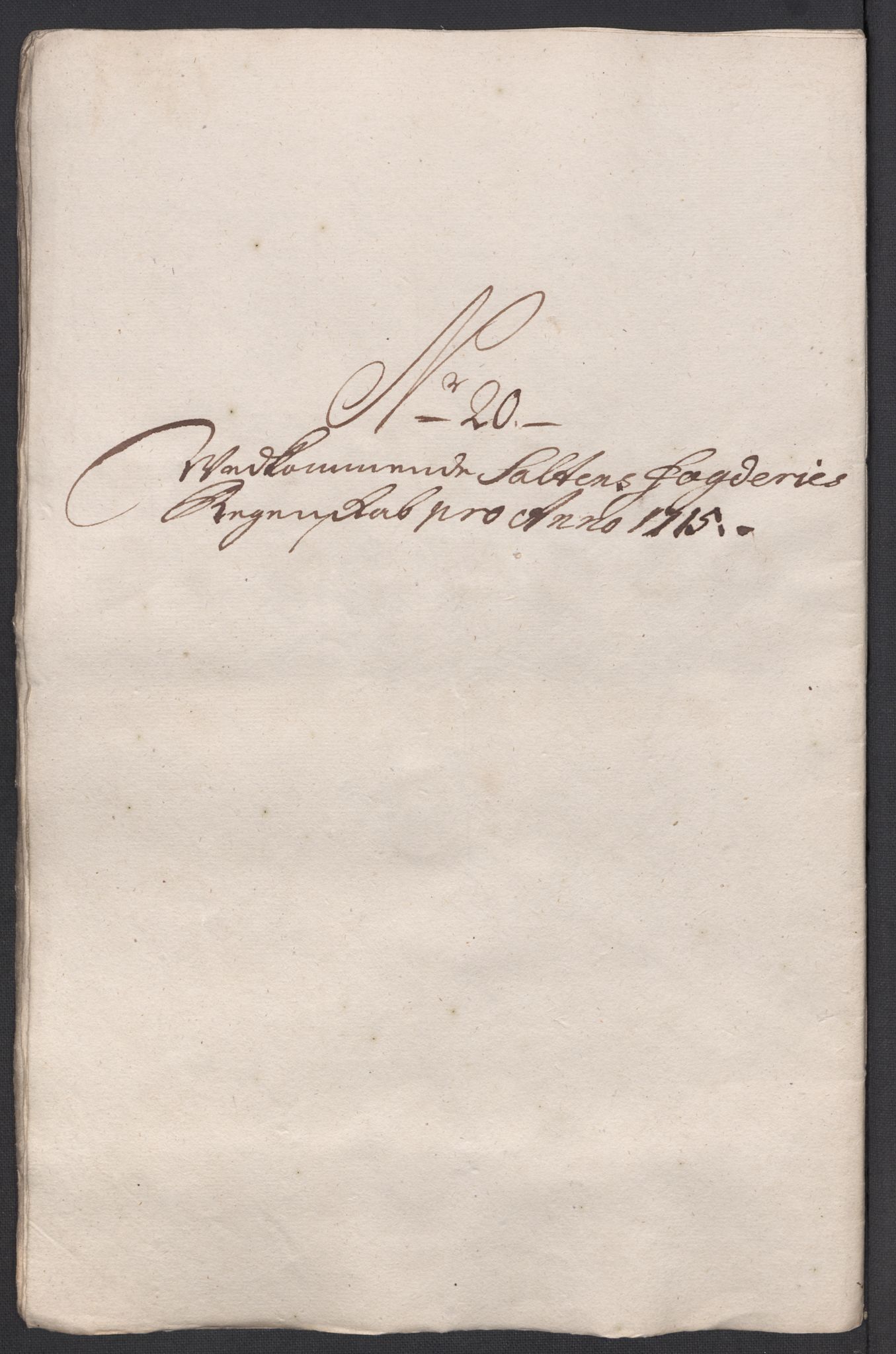 Rentekammeret inntil 1814, Reviderte regnskaper, Fogderegnskap, RA/EA-4092/R66/L4585: Fogderegnskap Salten, 1715, s. 239