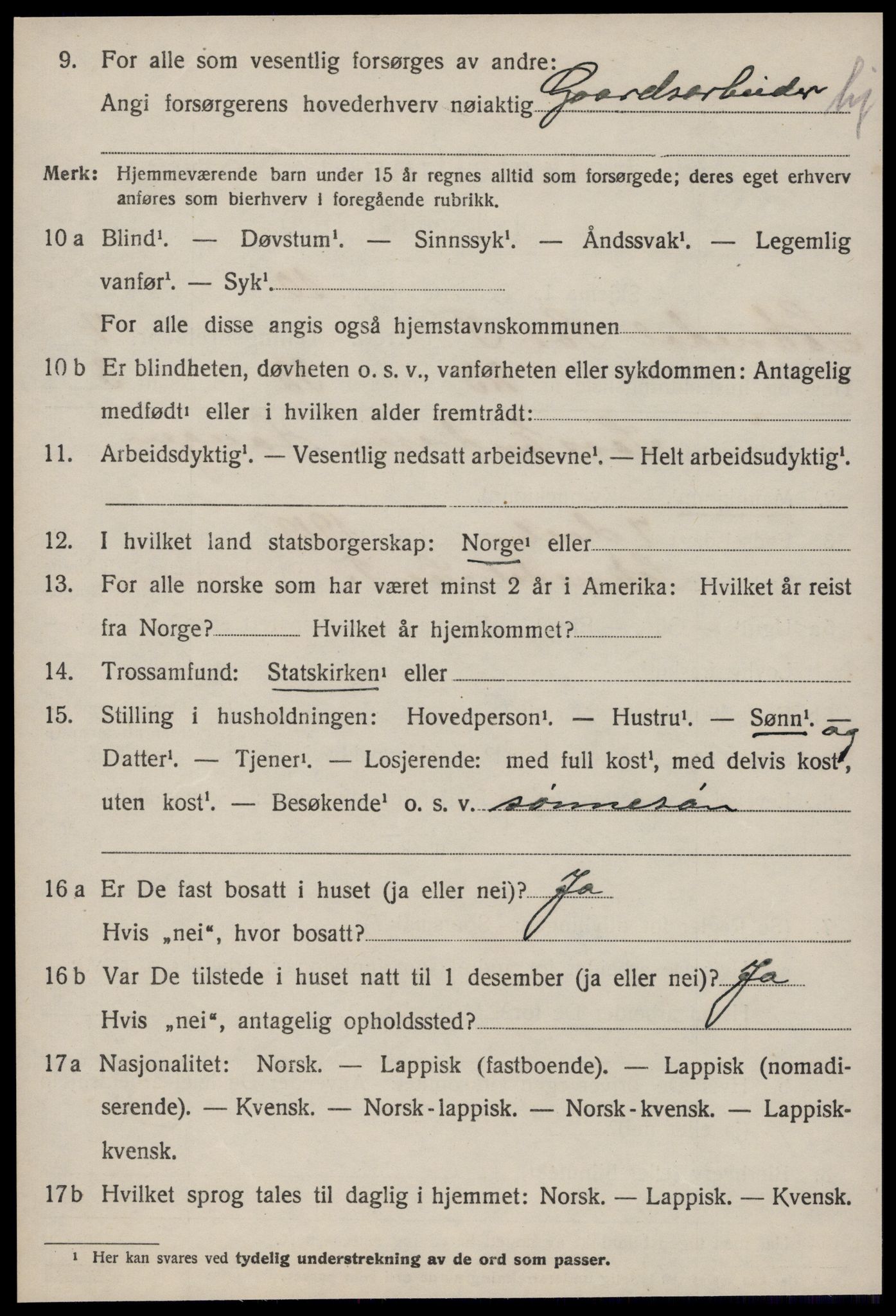 SAT, Folketelling 1920 for 1649 Soknedal herred, 1920, s. 2675