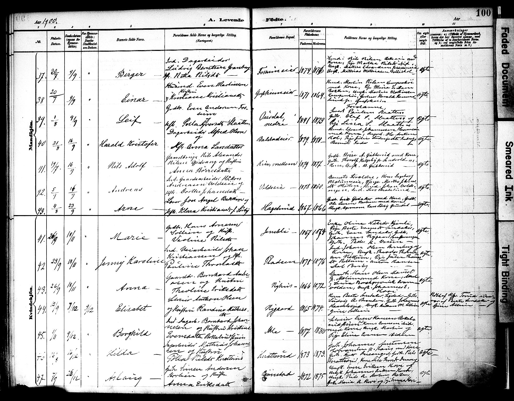 Nes prestekontor, Hedmark, AV/SAH-PREST-020/K/Ka/L0009: Ministerialbok nr. 9, 1887-1905, s. 100
