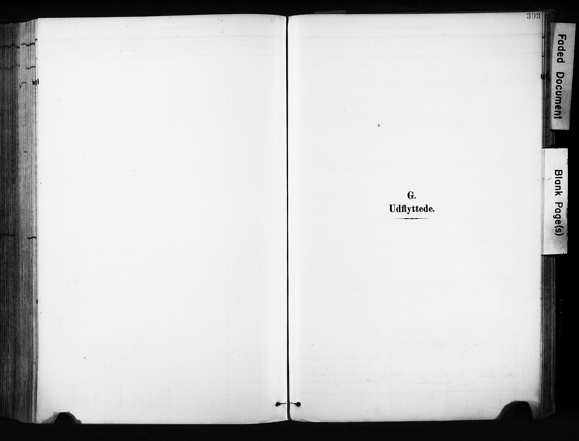 Ministerialprotokoller, klokkerbøker og fødselsregistre - Nordland, AV/SAT-A-1459/880/L1134: Ministerialbok nr. 880A08, 1899-1908, s. 303