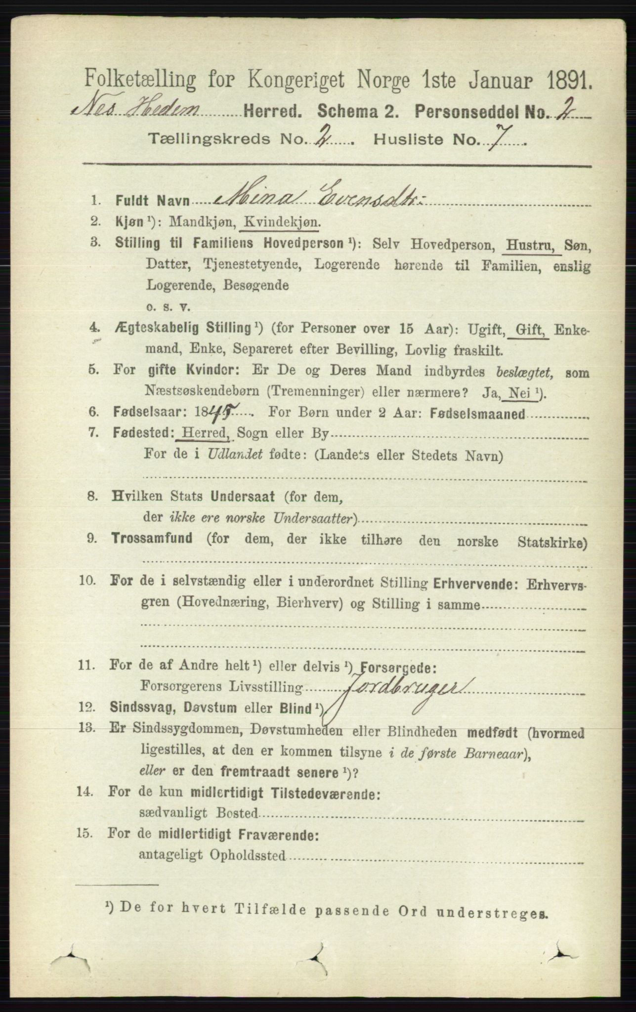 RA, Folketelling 1891 for 0411 Nes herred, 1891, s. 1110
