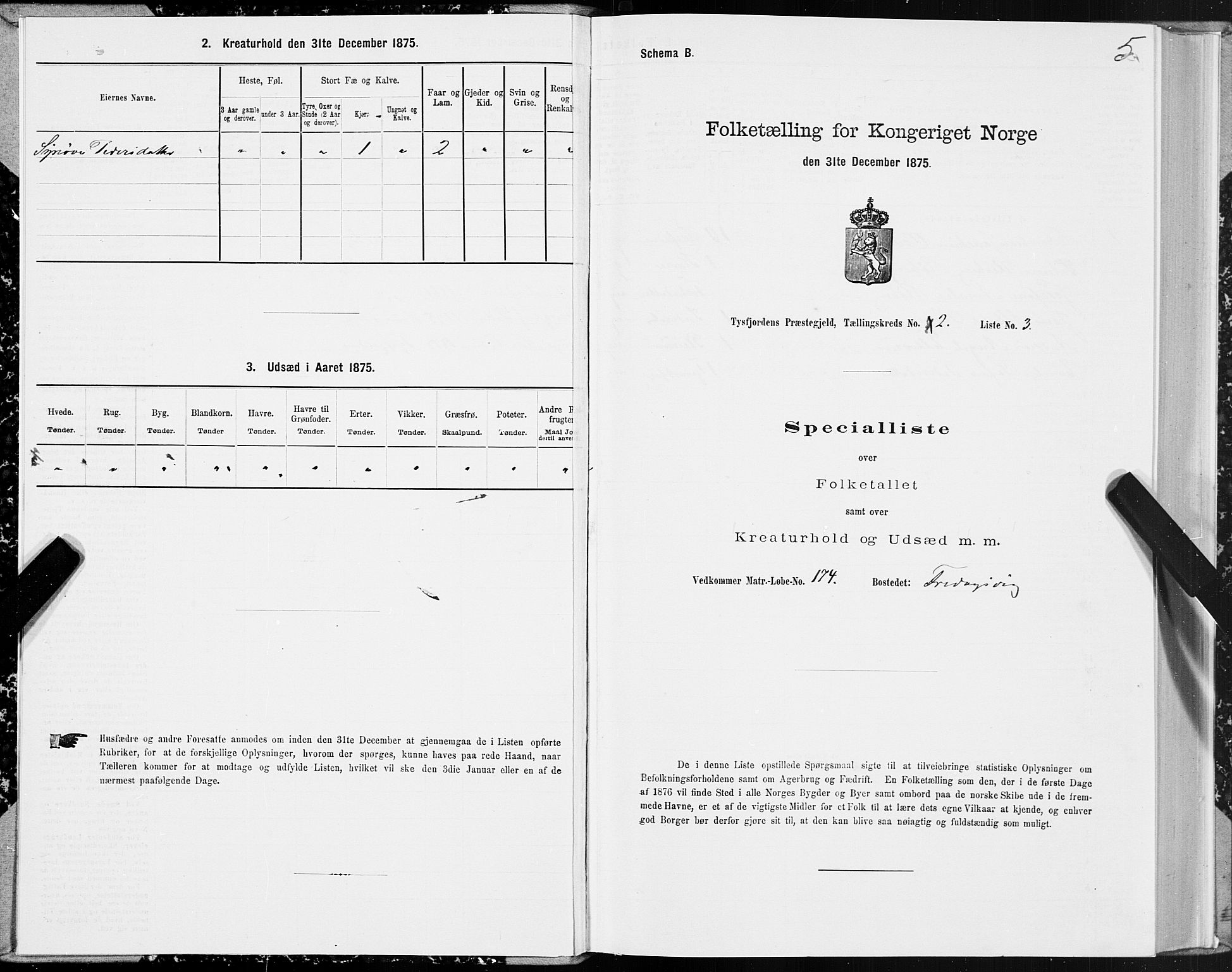 SAT, Folketelling 1875 for 1850P Tysfjord prestegjeld, 1875, s. 2005