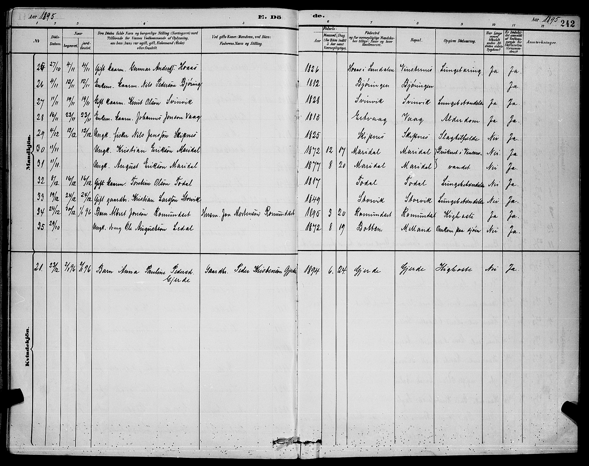 Ministerialprotokoller, klokkerbøker og fødselsregistre - Møre og Romsdal, AV/SAT-A-1454/578/L0909: Klokkerbok nr. 578C02, 1882-1900, s. 242