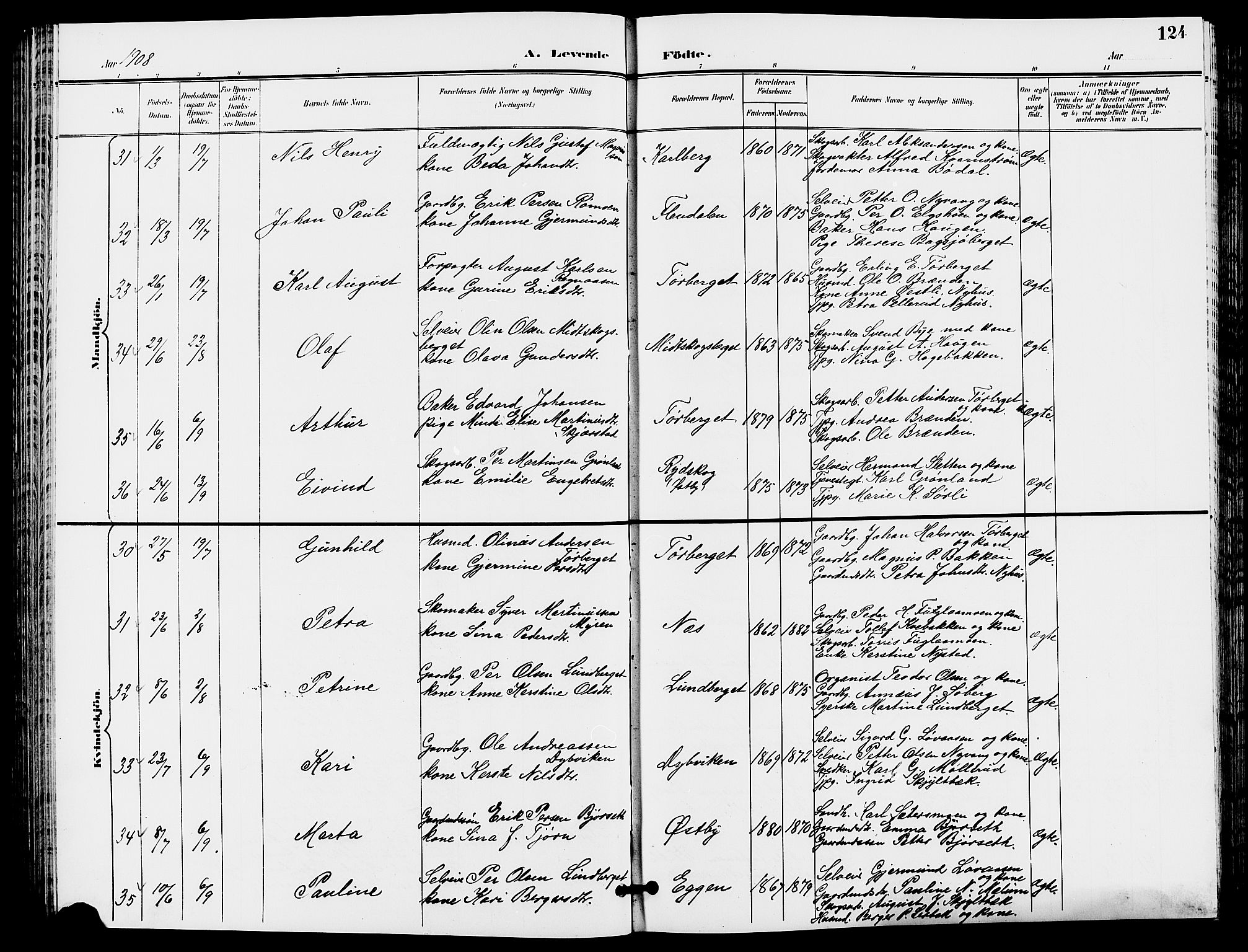 Trysil prestekontor, AV/SAH-PREST-046/H/Ha/Hab/L0006: Klokkerbok nr. 6, 1896-1912, s. 124