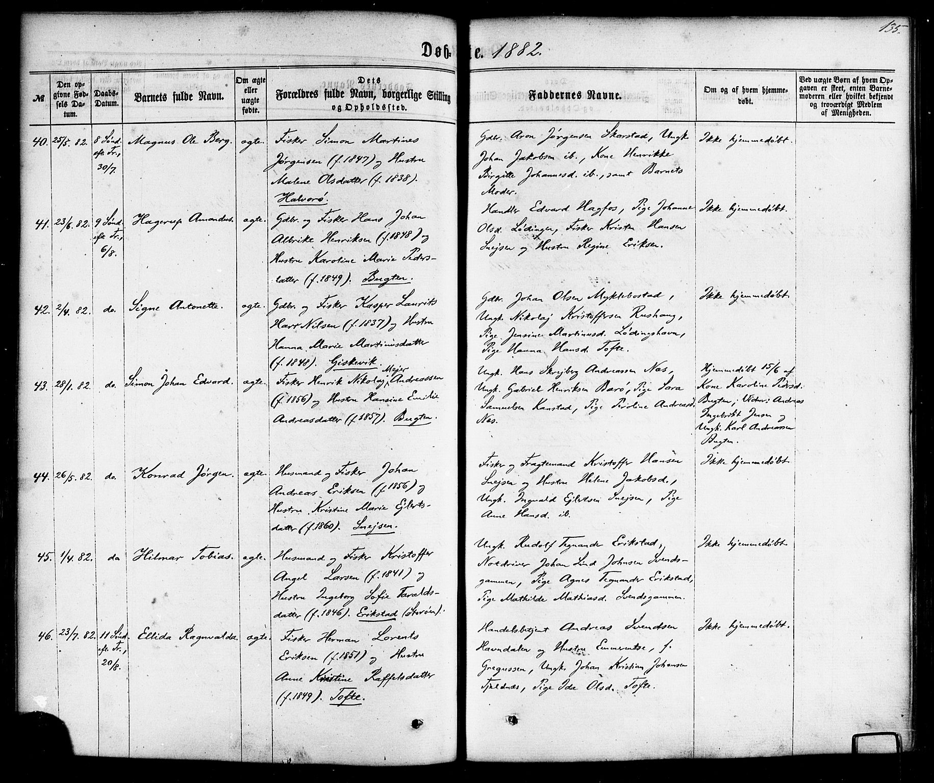 Ministerialprotokoller, klokkerbøker og fødselsregistre - Nordland, AV/SAT-A-1459/872/L1034: Ministerialbok nr. 872A09, 1864-1884, s. 135