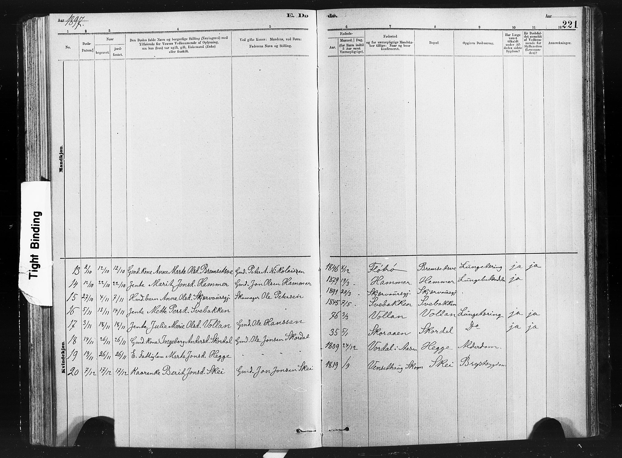 Ministerialprotokoller, klokkerbøker og fødselsregistre - Nord-Trøndelag, SAT/A-1458/712/L0103: Klokkerbok nr. 712C01, 1878-1917, s. 221