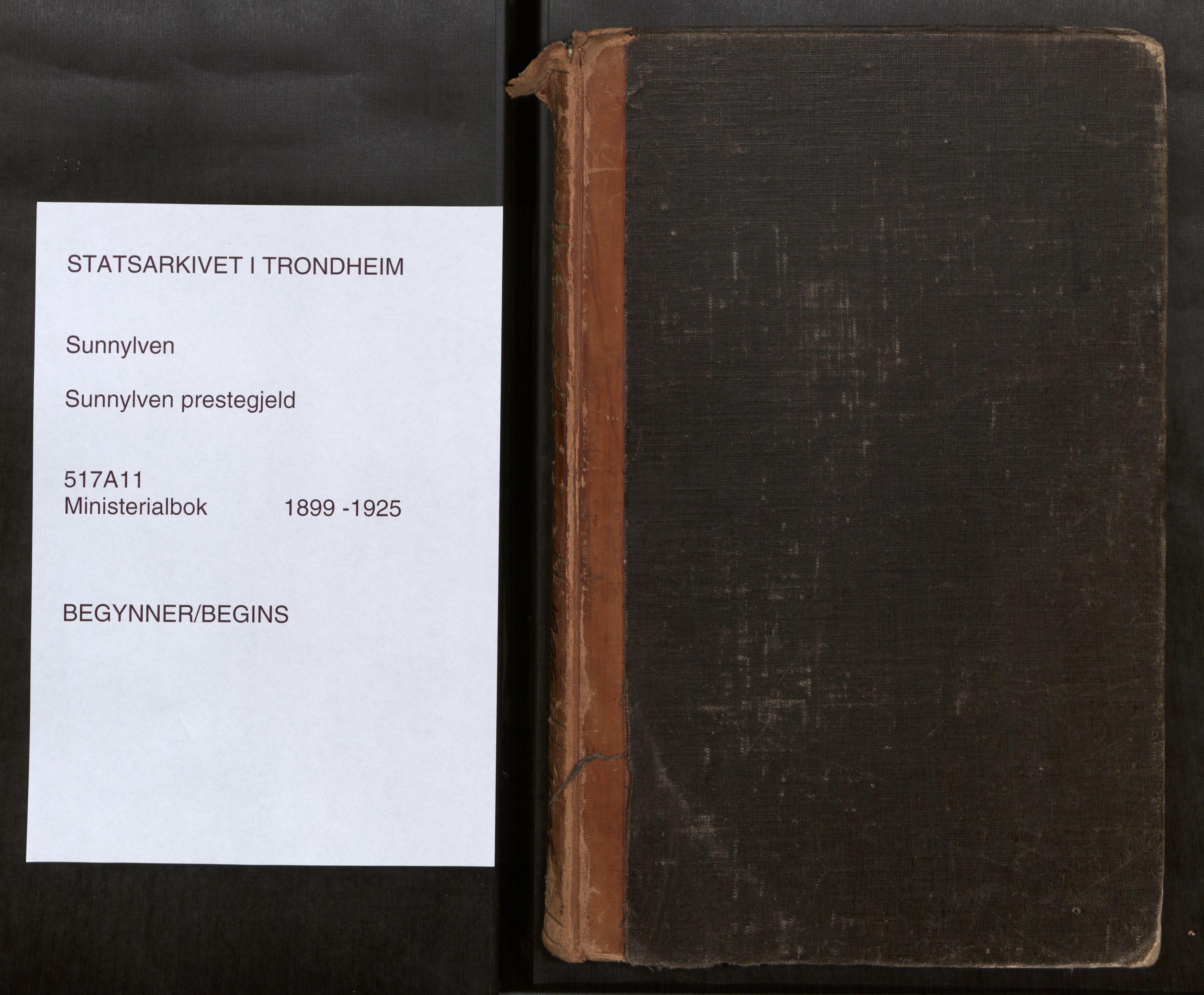 Sunnylven sokneprestkontor, SAT/A-1007: Ministerialbok nr. 517A11, 1899-1925