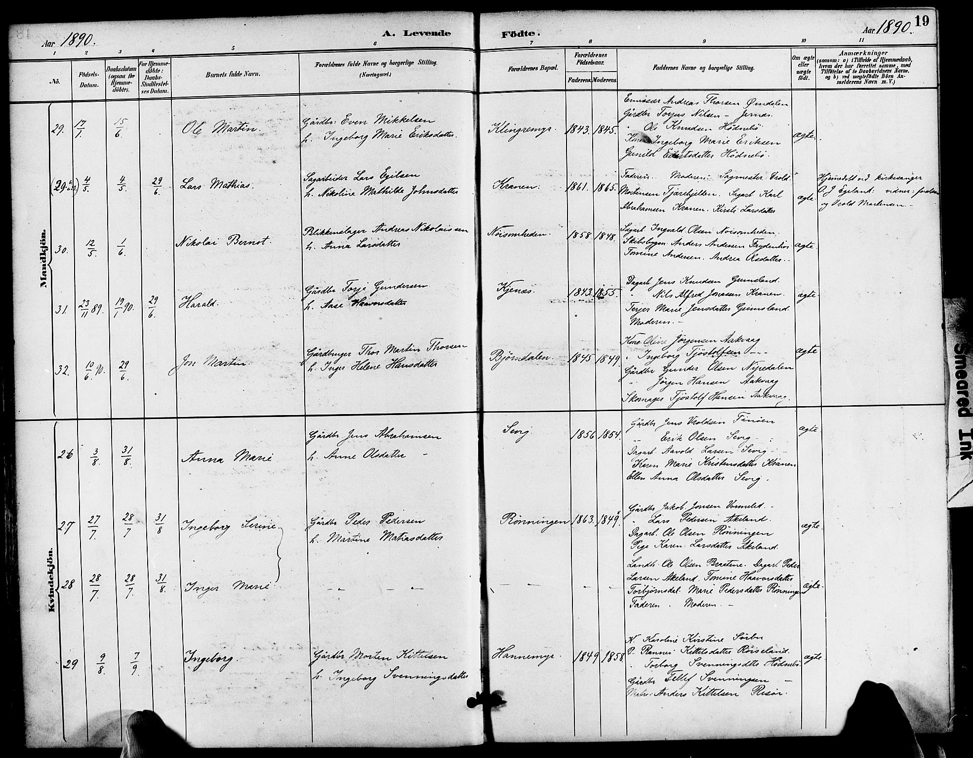 Søndeled sokneprestkontor, AV/SAK-1111-0038/F/Fa/L0005: Ministerialbok nr. A 5, 1889-1899, s. 19