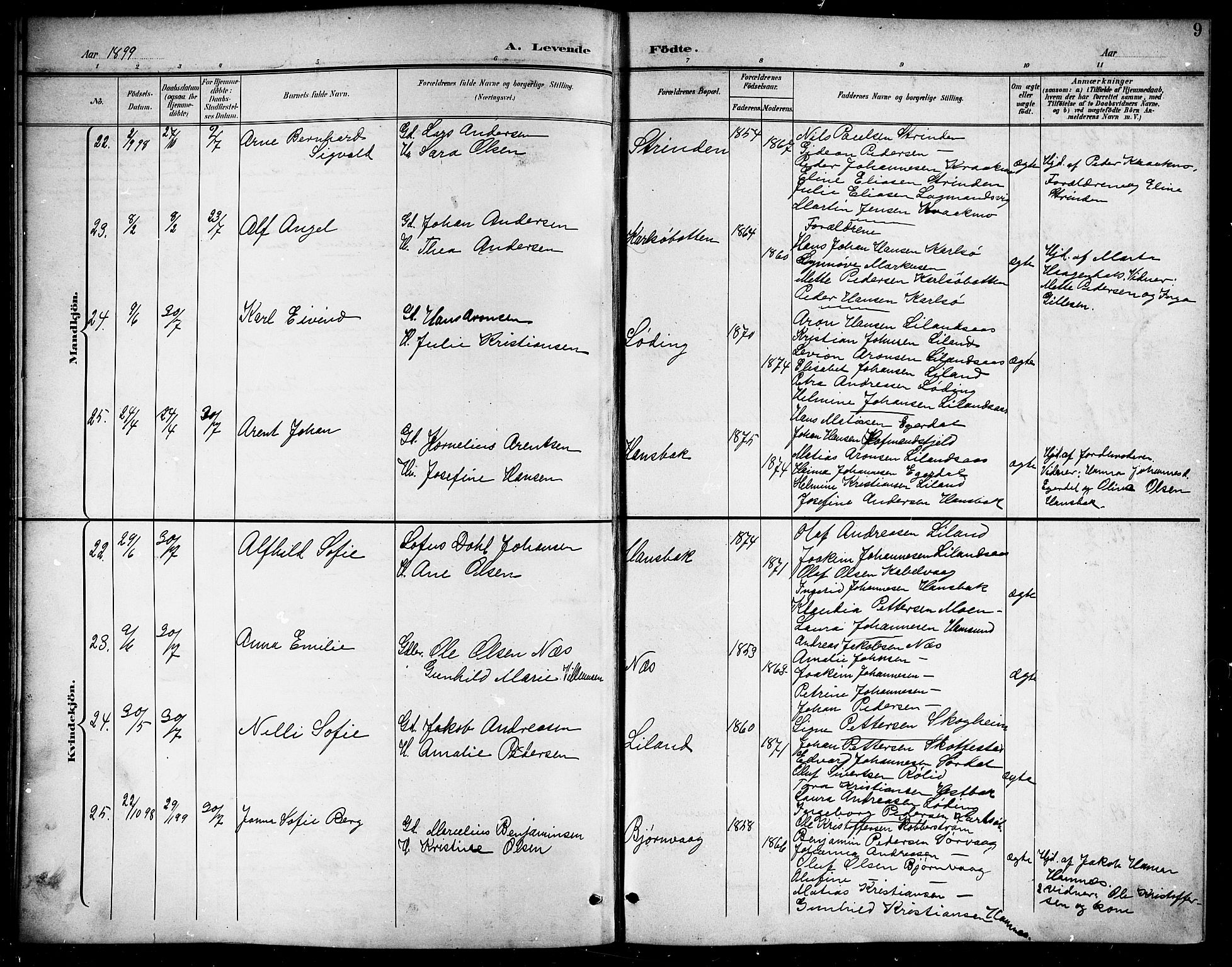 Ministerialprotokoller, klokkerbøker og fødselsregistre - Nordland, AV/SAT-A-1459/859/L0860: Klokkerbok nr. 859C06, 1899-1909, s. 9