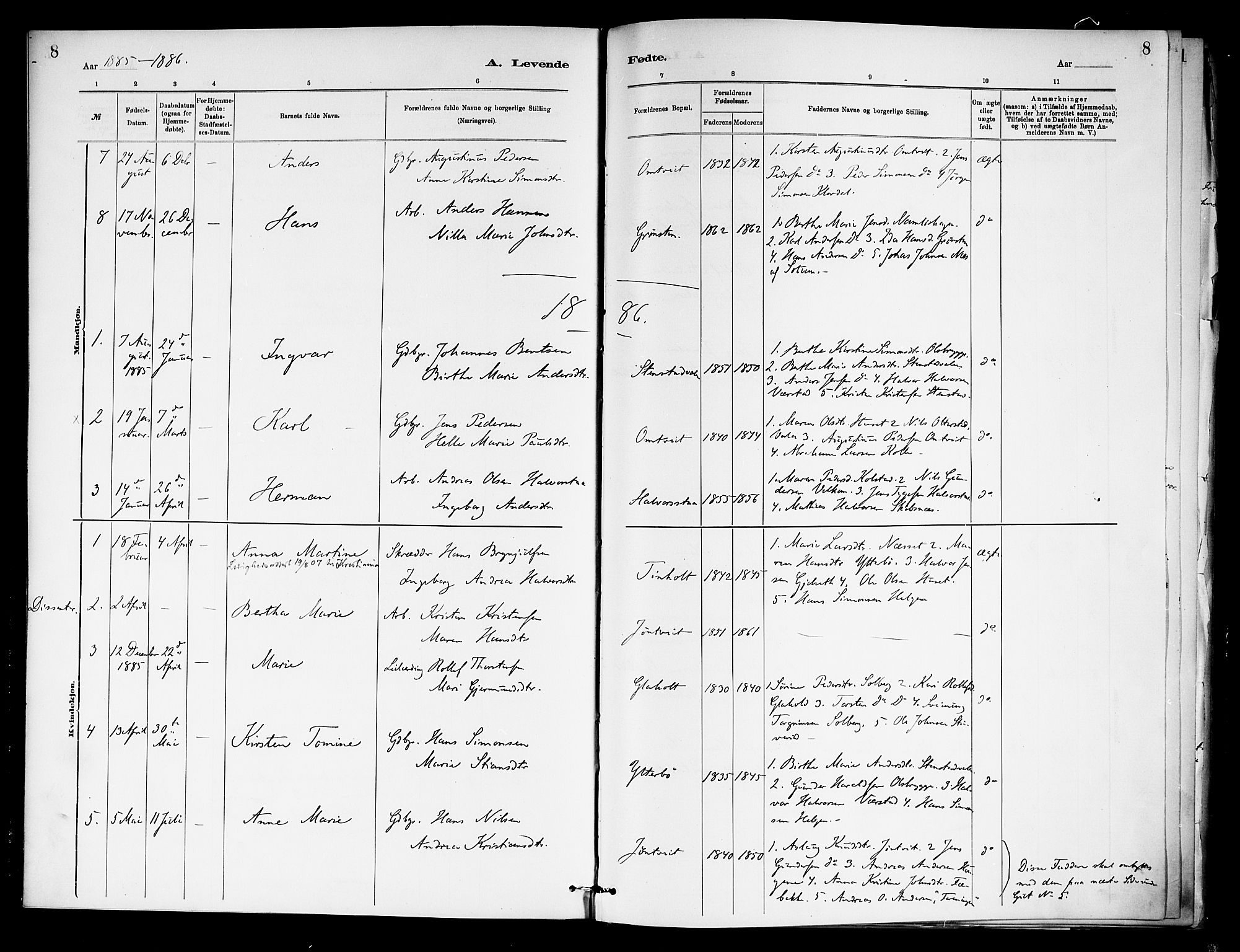 Holla kirkebøker, AV/SAKO-A-272/F/Fa/L0009: Ministerialbok nr. 9, 1881-1897, s. 8