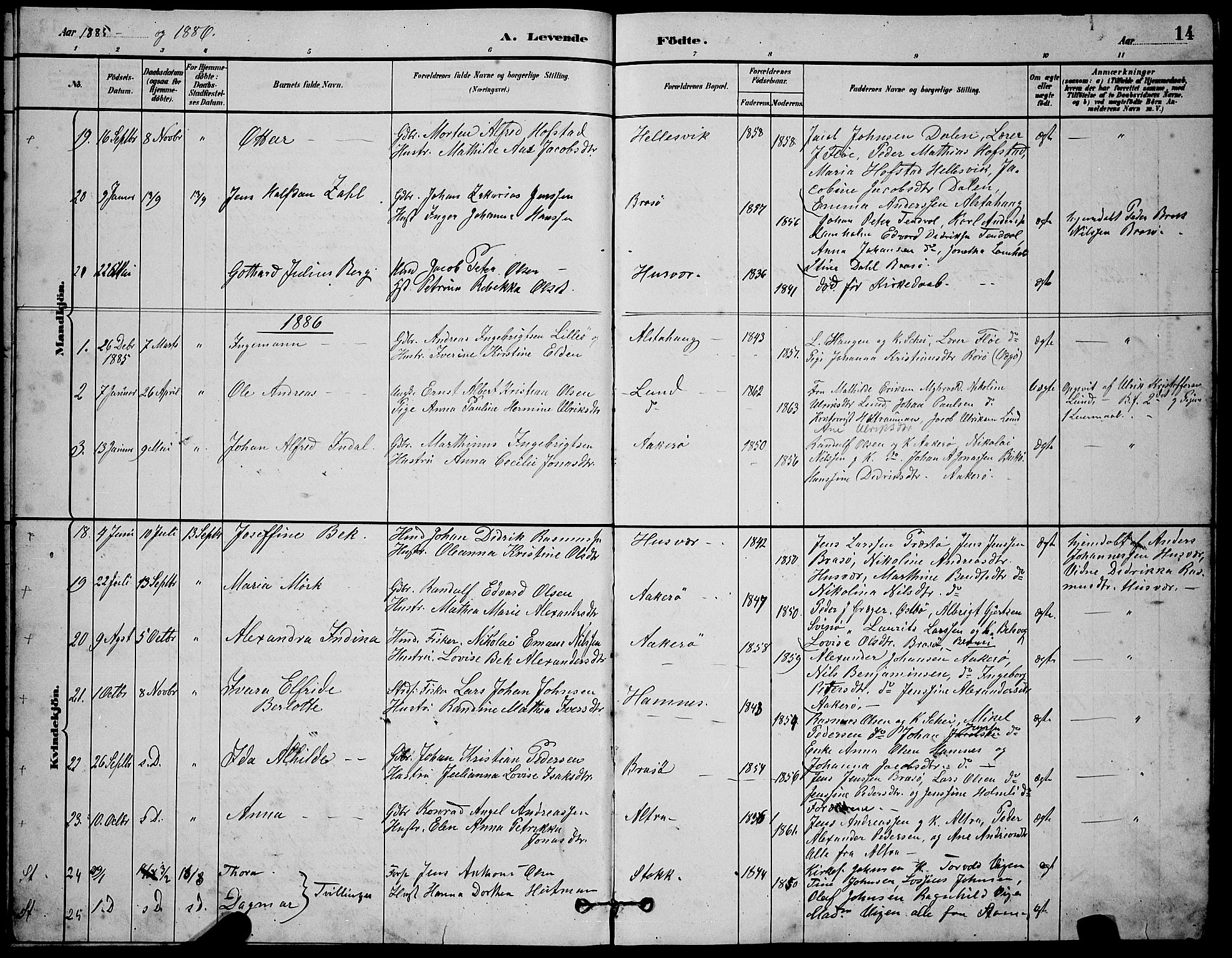 Ministerialprotokoller, klokkerbøker og fødselsregistre - Nordland, AV/SAT-A-1459/830/L0462: Klokkerbok nr. 830C04, 1882-1895, s. 14