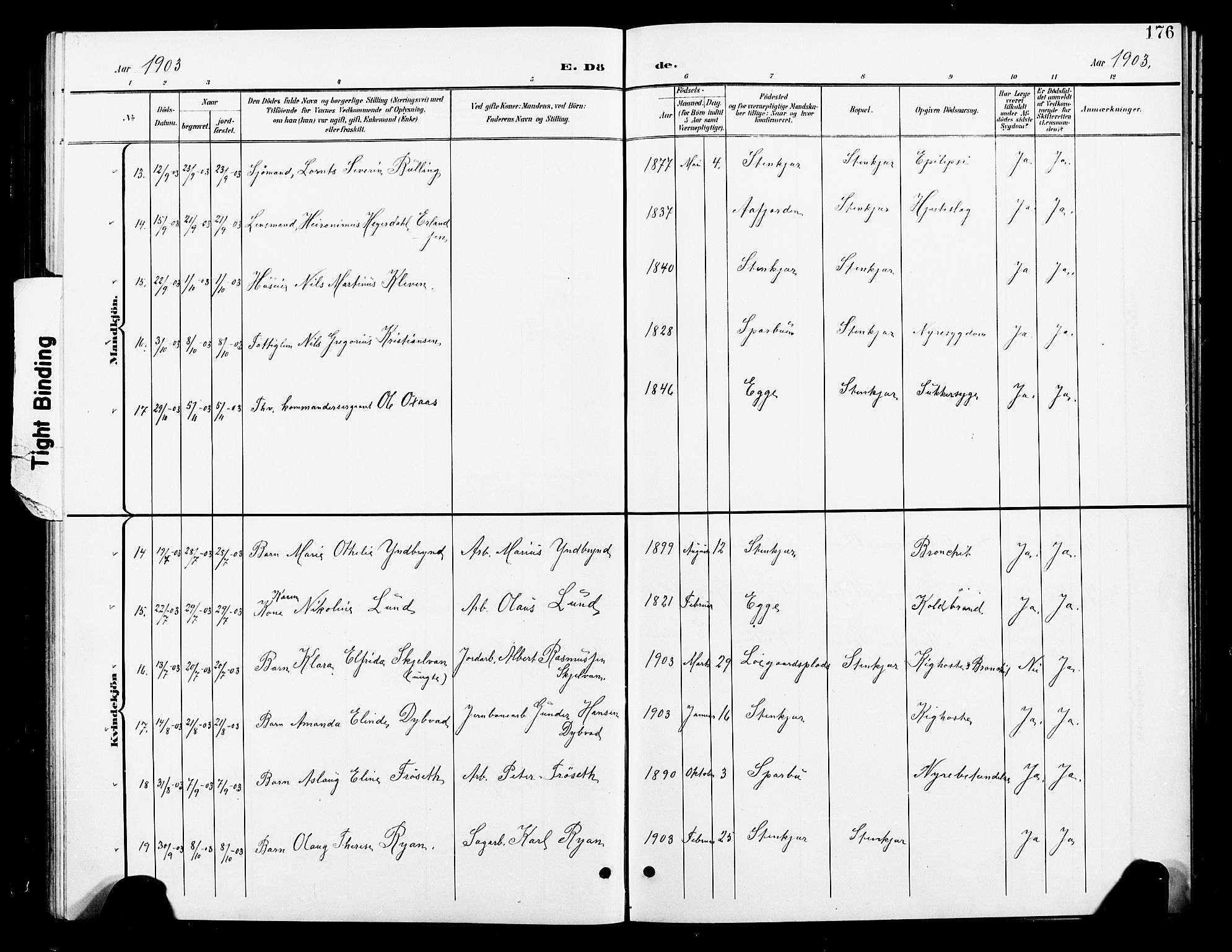 Ministerialprotokoller, klokkerbøker og fødselsregistre - Nord-Trøndelag, AV/SAT-A-1458/739/L0375: Klokkerbok nr. 739C03, 1898-1908, s. 176