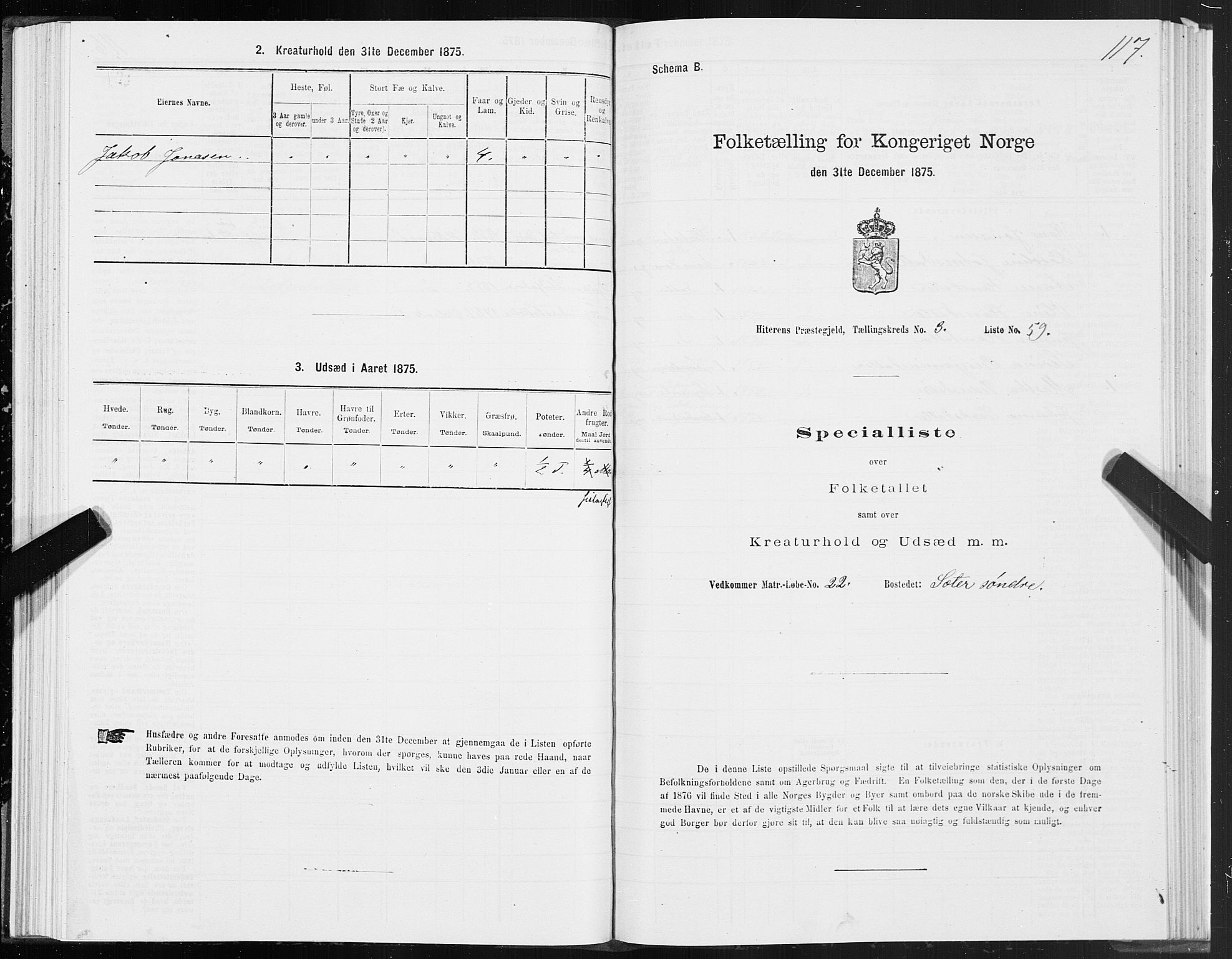 SAT, Folketelling 1875 for 1617P Hitra prestegjeld, 1875, s. 2117