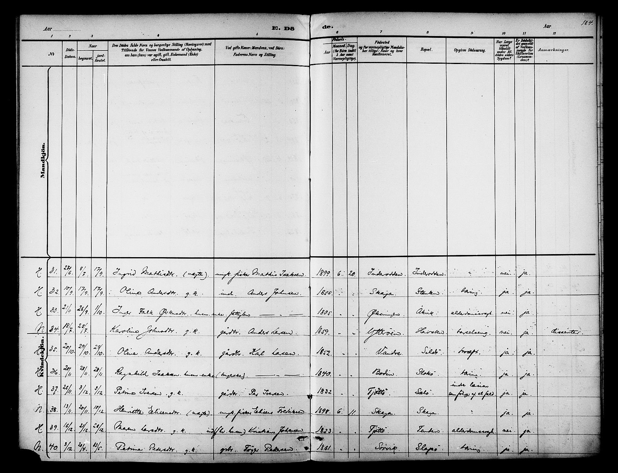 Ministerialprotokoller, klokkerbøker og fødselsregistre - Nordland, AV/SAT-A-1459/834/L0508: Ministerialbok nr. 834A06, 1892-1901, s. 184