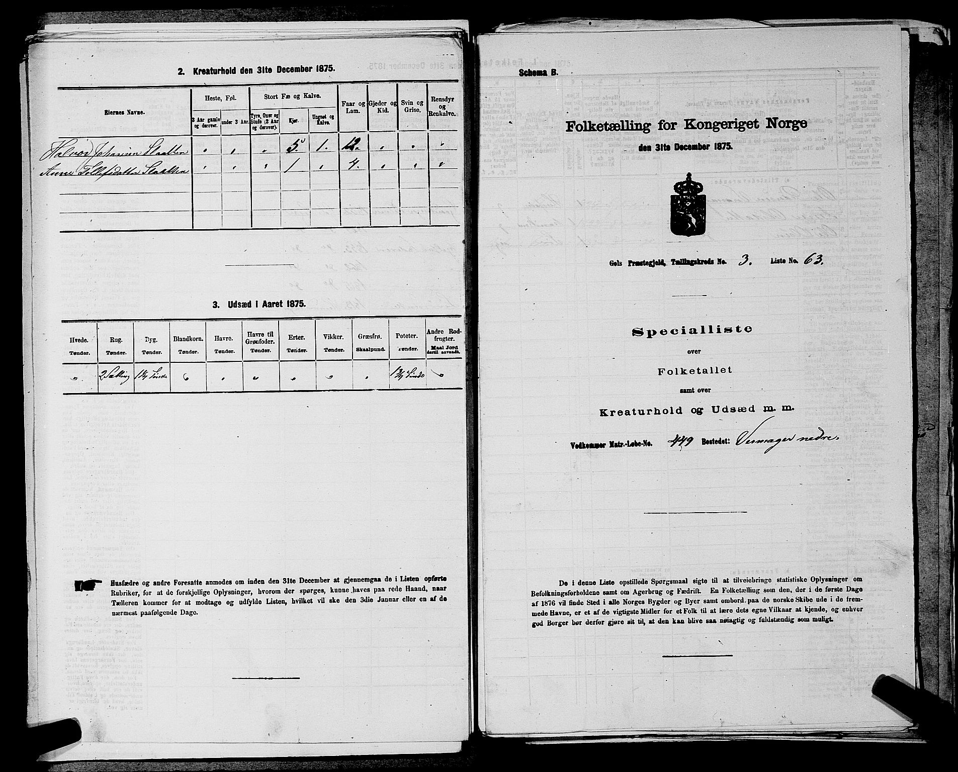 SAKO, Folketelling 1875 for 0617P Gol prestegjeld, 1875, s. 578