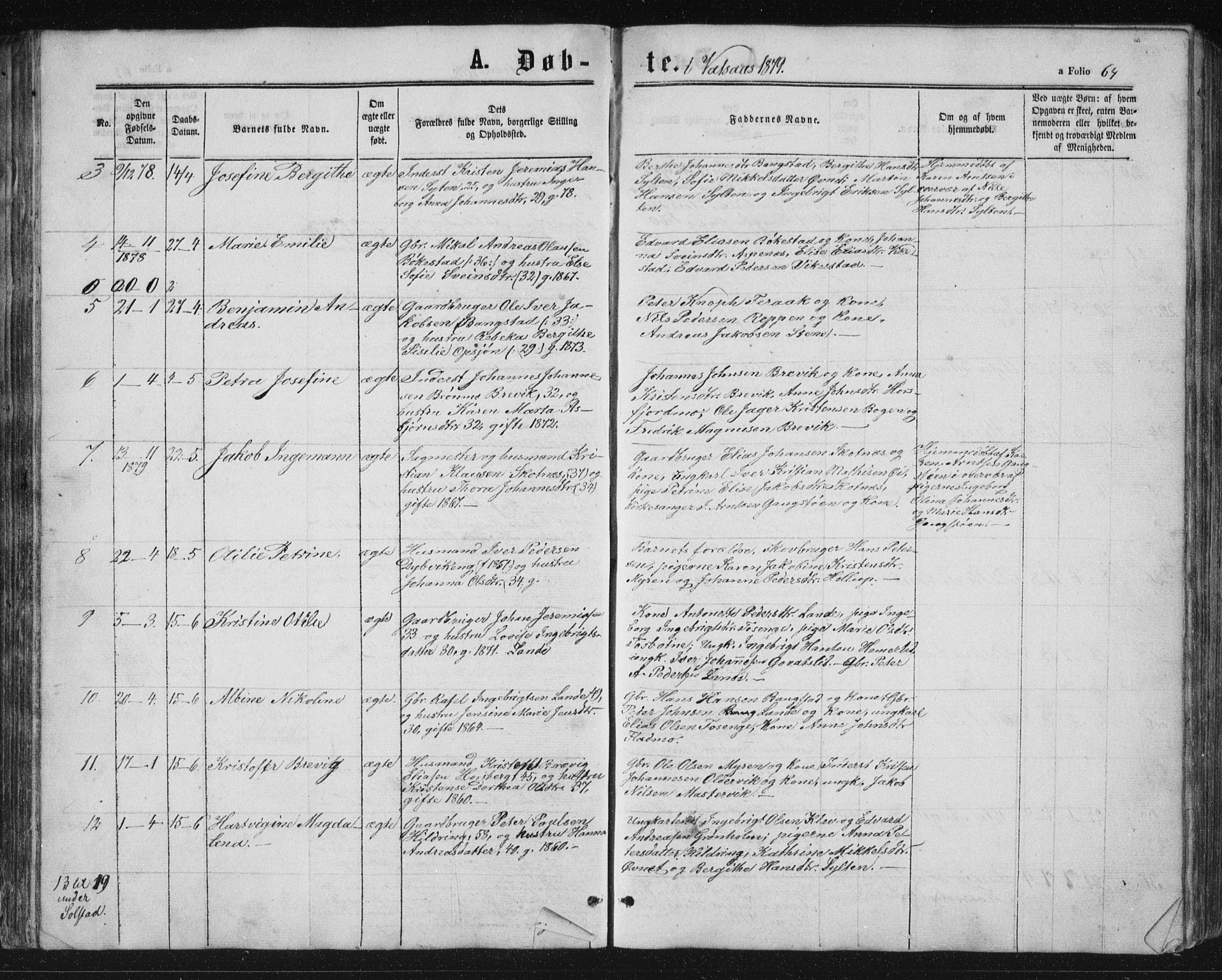 Ministerialprotokoller, klokkerbøker og fødselsregistre - Nordland, AV/SAT-A-1459/810/L0158: Klokkerbok nr. 810C02 /1, 1863-1883, s. 64