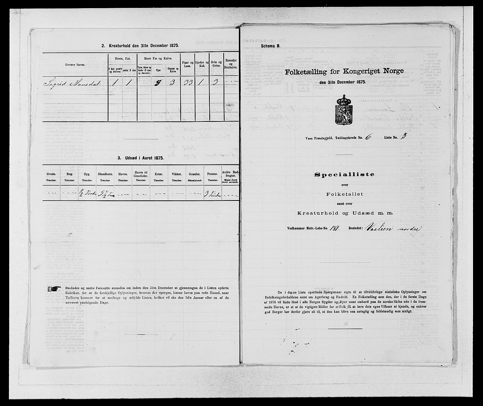 SAB, Folketelling 1875 for 1235P Voss prestegjeld, 1875, s. 709