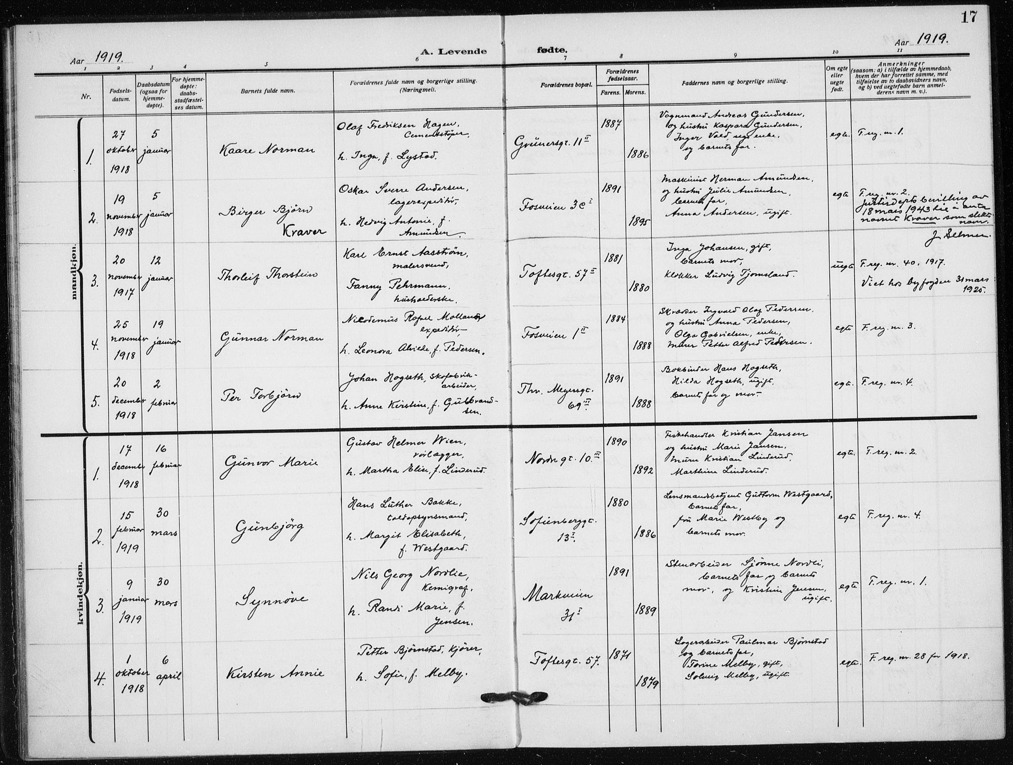 Hauge prestekontor Kirkebøker, AV/SAO-A-10849/F/Fa/L0001: Ministerialbok nr. 1, 1917-1938, s. 17