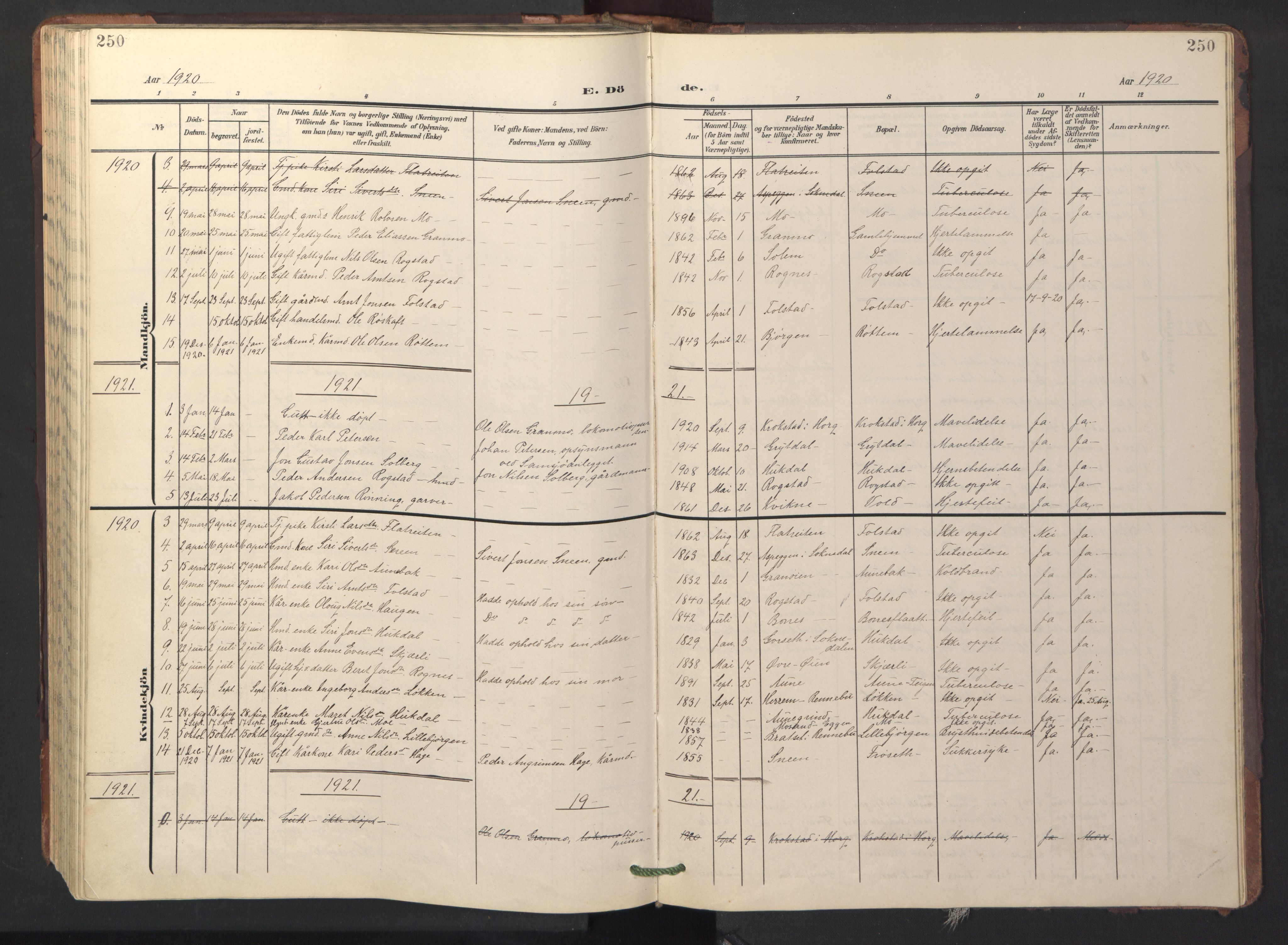 Ministerialprotokoller, klokkerbøker og fødselsregistre - Sør-Trøndelag, AV/SAT-A-1456/687/L1019: Klokkerbok nr. 687C03, 1904-1931, s. 250