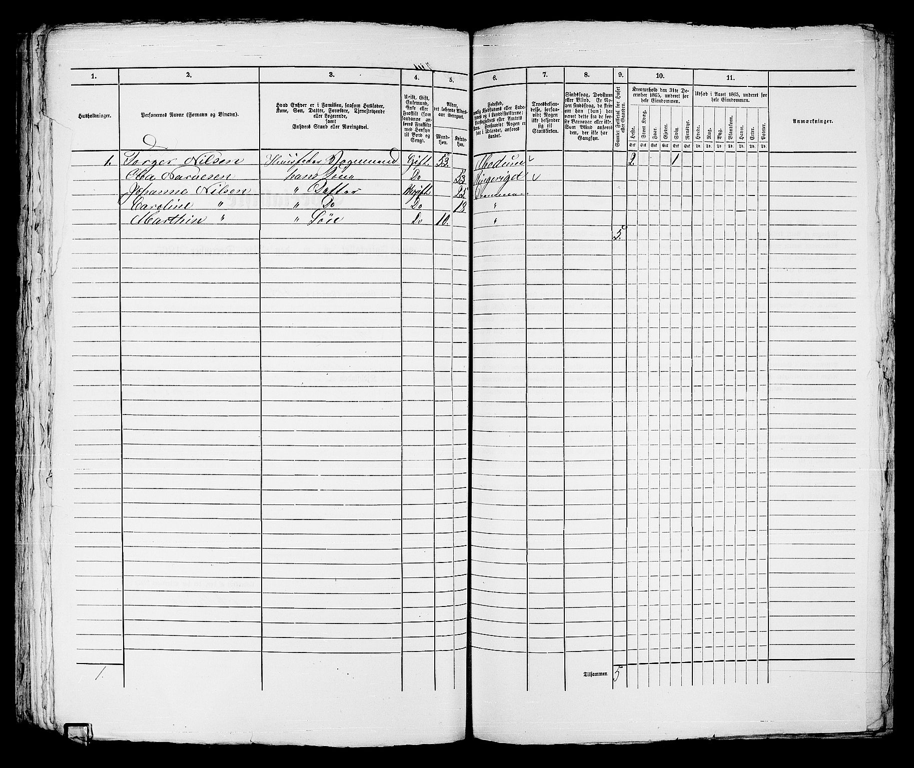 RA, Folketelling 1865 for 0602bP Strømsø prestegjeld i Drammen kjøpstad, 1865, s. 334