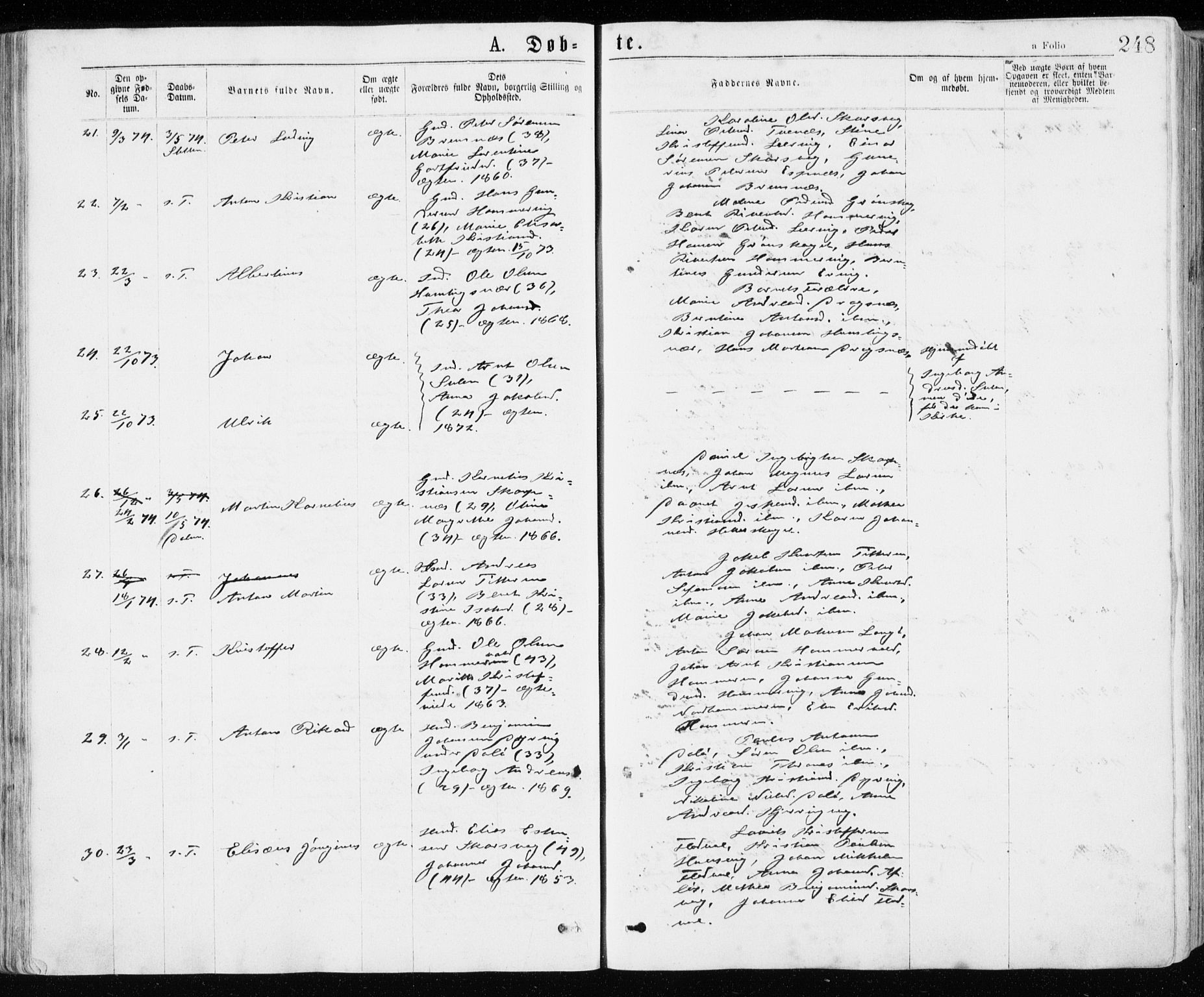 Ministerialprotokoller, klokkerbøker og fødselsregistre - Sør-Trøndelag, SAT/A-1456/640/L0576: Ministerialbok nr. 640A01, 1846-1876, s. 248