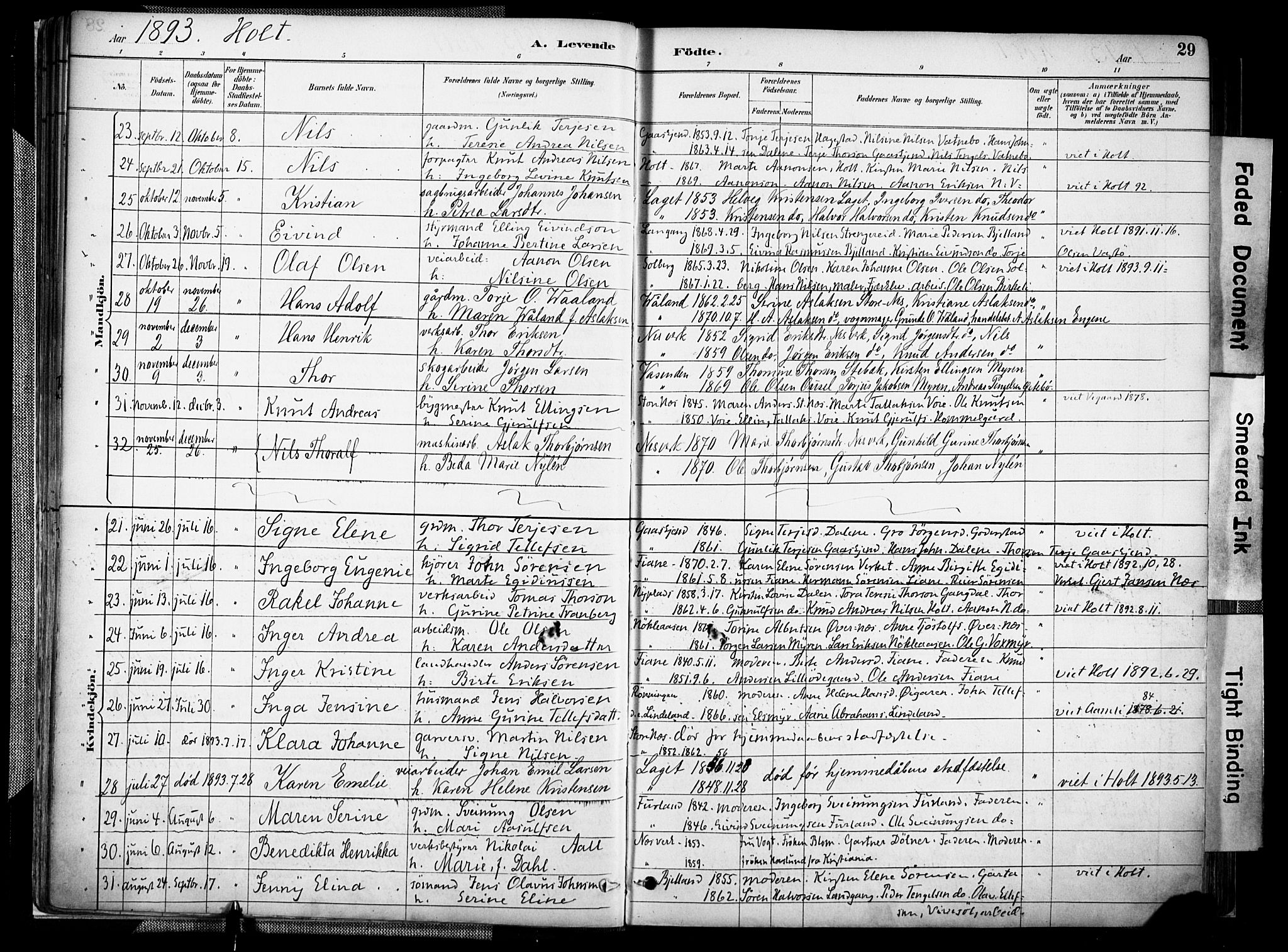 Holt sokneprestkontor, AV/SAK-1111-0021/F/Fa/L0012: Ministerialbok nr. A 12, 1885-1907, s. 29
