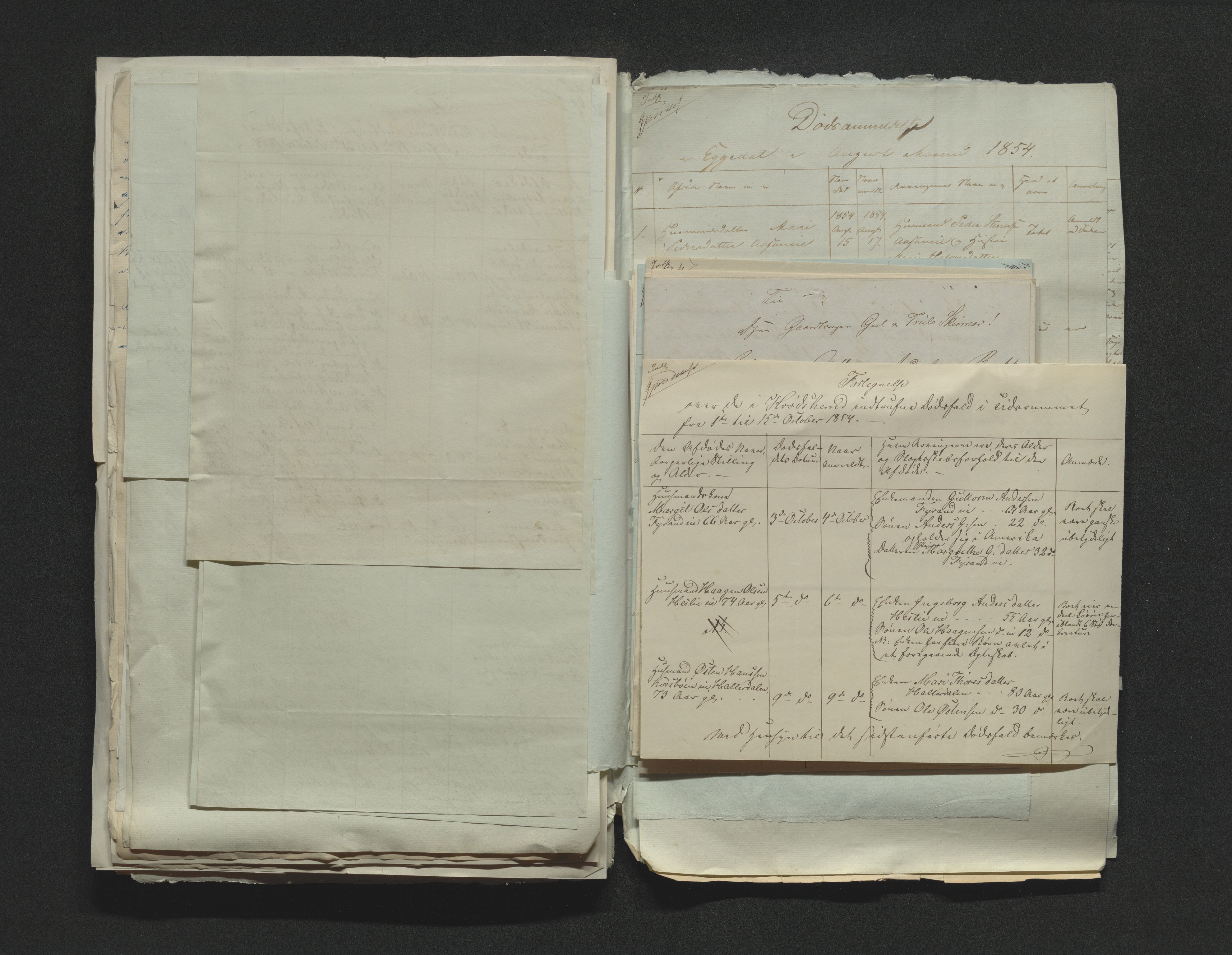 Eiker, Modum og Sigdal sorenskriveri, AV/SAKO-A-123/H/Ha/Hab/L0009: Dødsfallsmeldinger, 1854-1857, s. 101