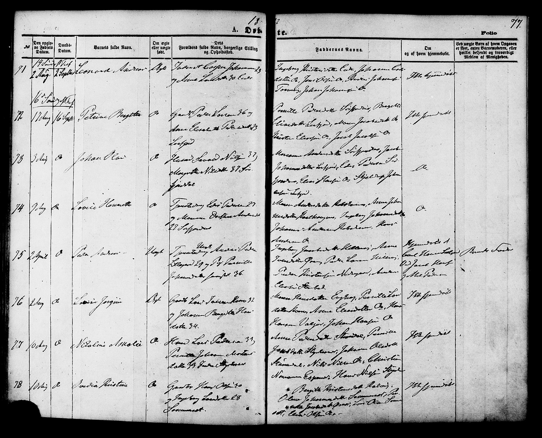 Ministerialprotokoller, klokkerbøker og fødselsregistre - Nordland, AV/SAT-A-1459/853/L0771: Ministerialbok nr. 853A10, 1870-1881, s. 77