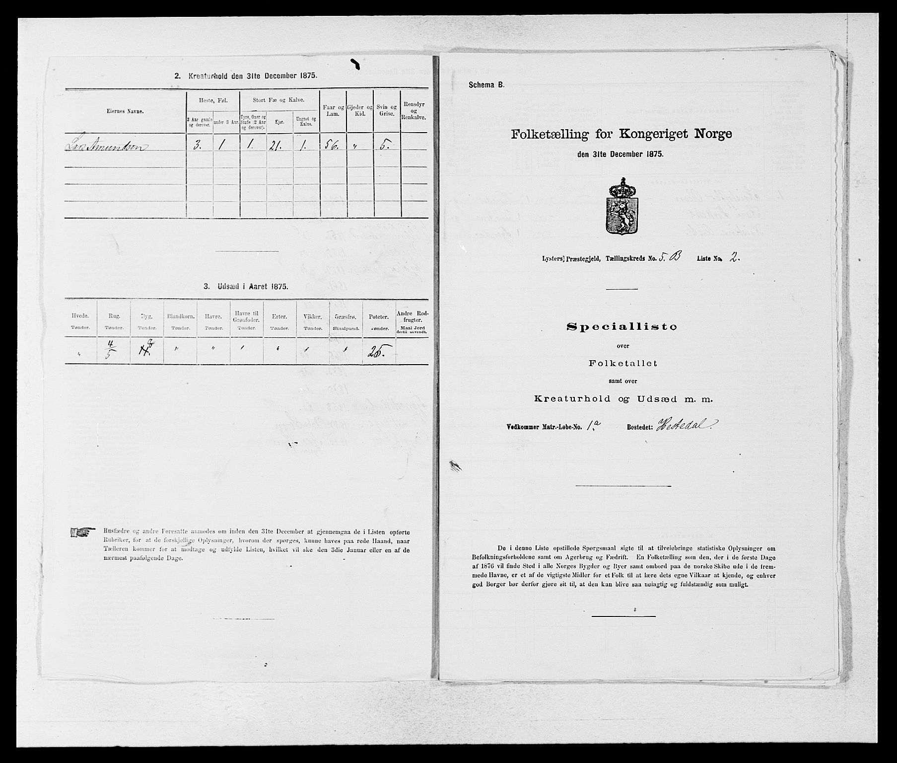 SAB, Folketelling 1875 for 1426P Luster prestegjeld, 1875, s. 777