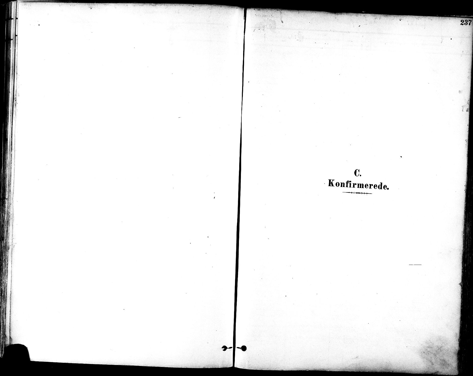 Ministerialprotokoller, klokkerbøker og fødselsregistre - Sør-Trøndelag, AV/SAT-A-1456/601/L0057: Ministerialbok nr. 601A25, 1877-1891, s. 237