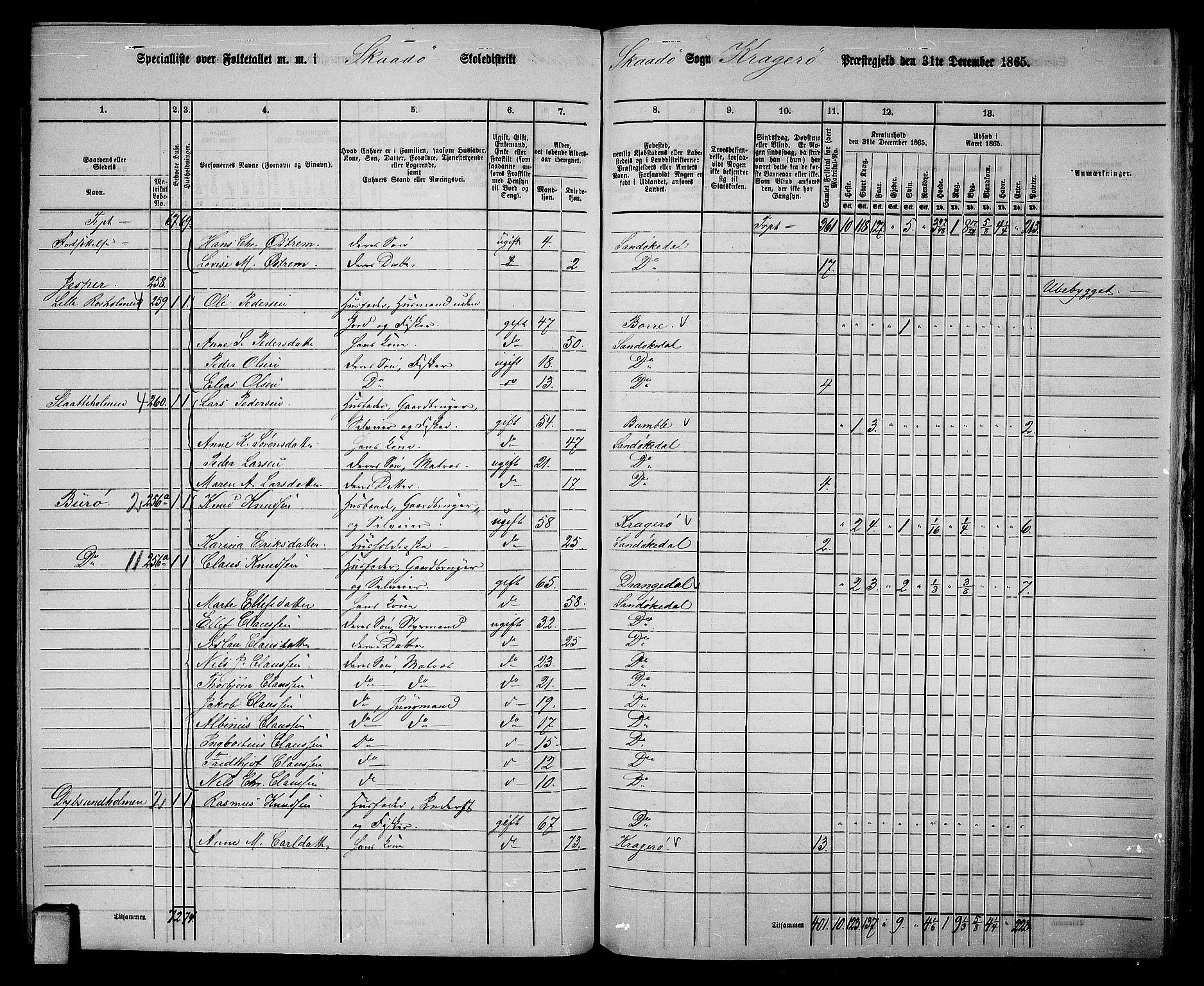 RA, Folketelling 1865 for 0816L Kragerø prestegjeld, Sannidal sokn og Skåtøy sokn, 1865, s. 192