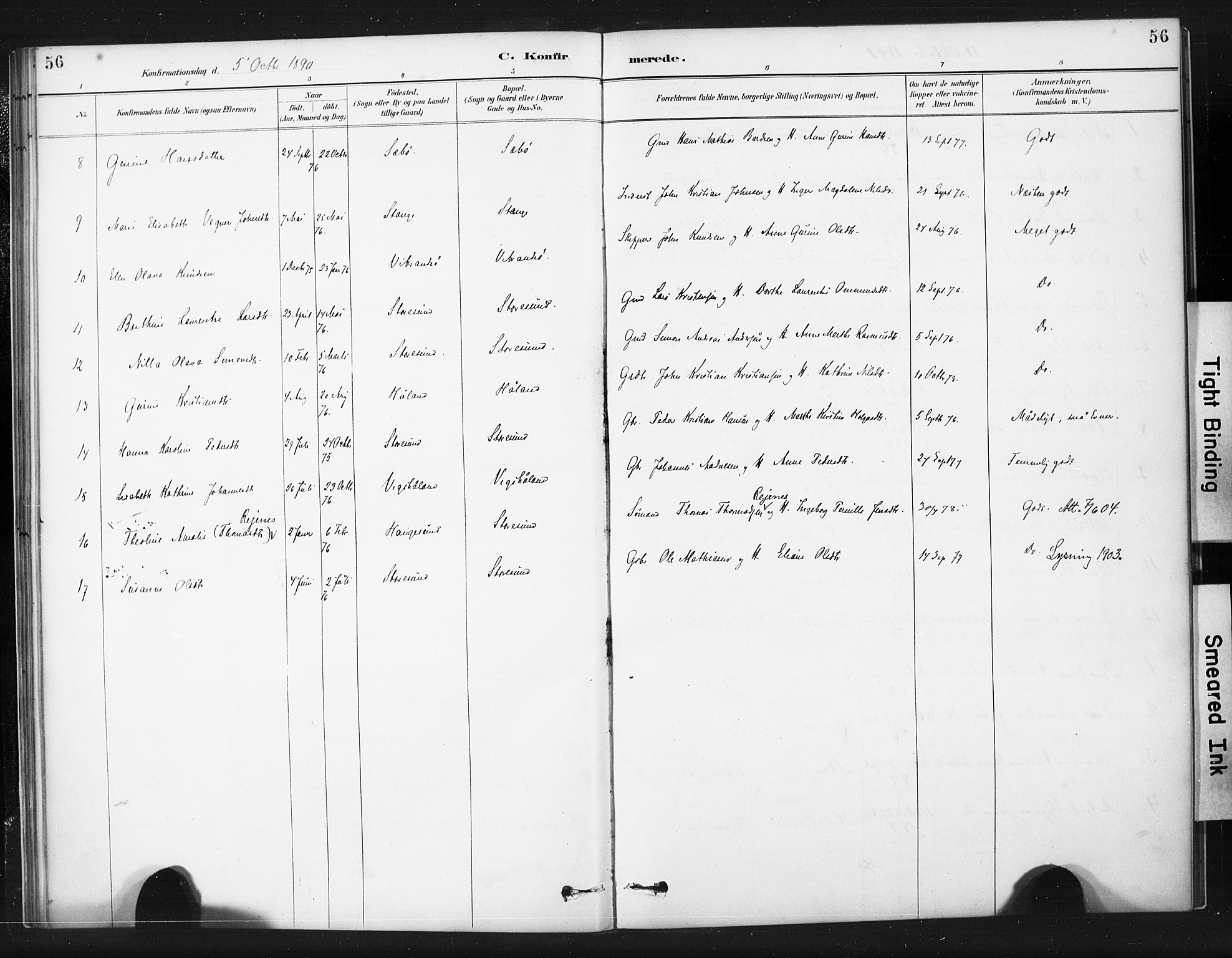 Torvastad sokneprestkontor, AV/SAST-A -101857/H/Ha/Haa/L0015: Ministerialbok nr. A 14, 1888-1899, s. 56