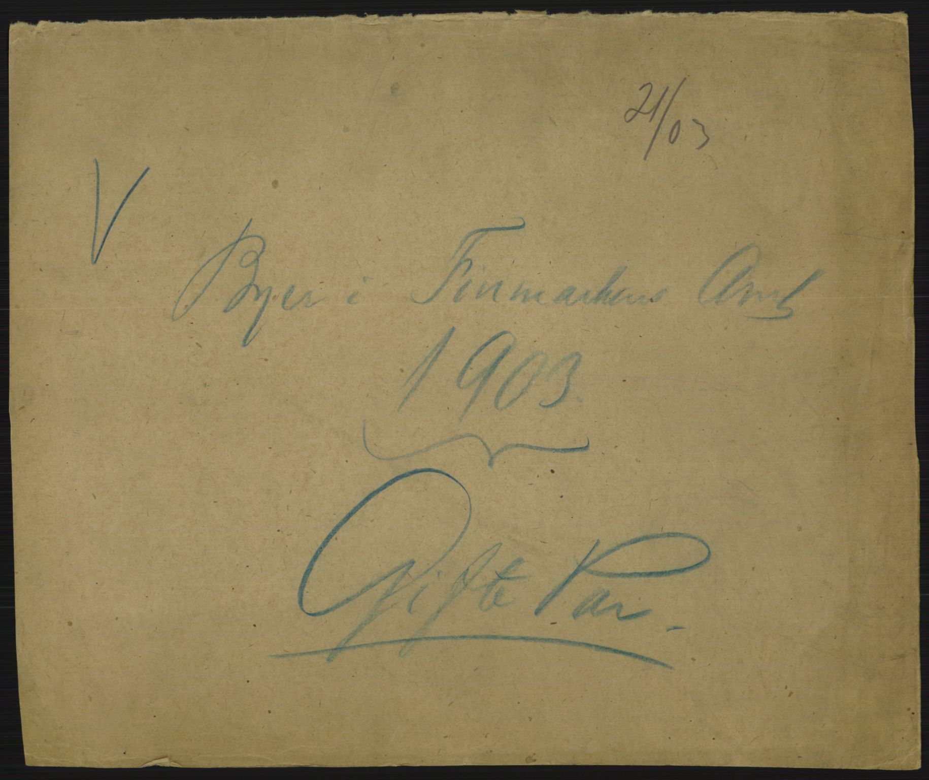 Statistisk sentralbyrå, Sosiodemografiske emner, Befolkning, AV/RA-S-2228/D/Df/Dfa/Dfaa/L0022: Finnmarkens amt: Fødte, gifte, døde., 1903, s. 195