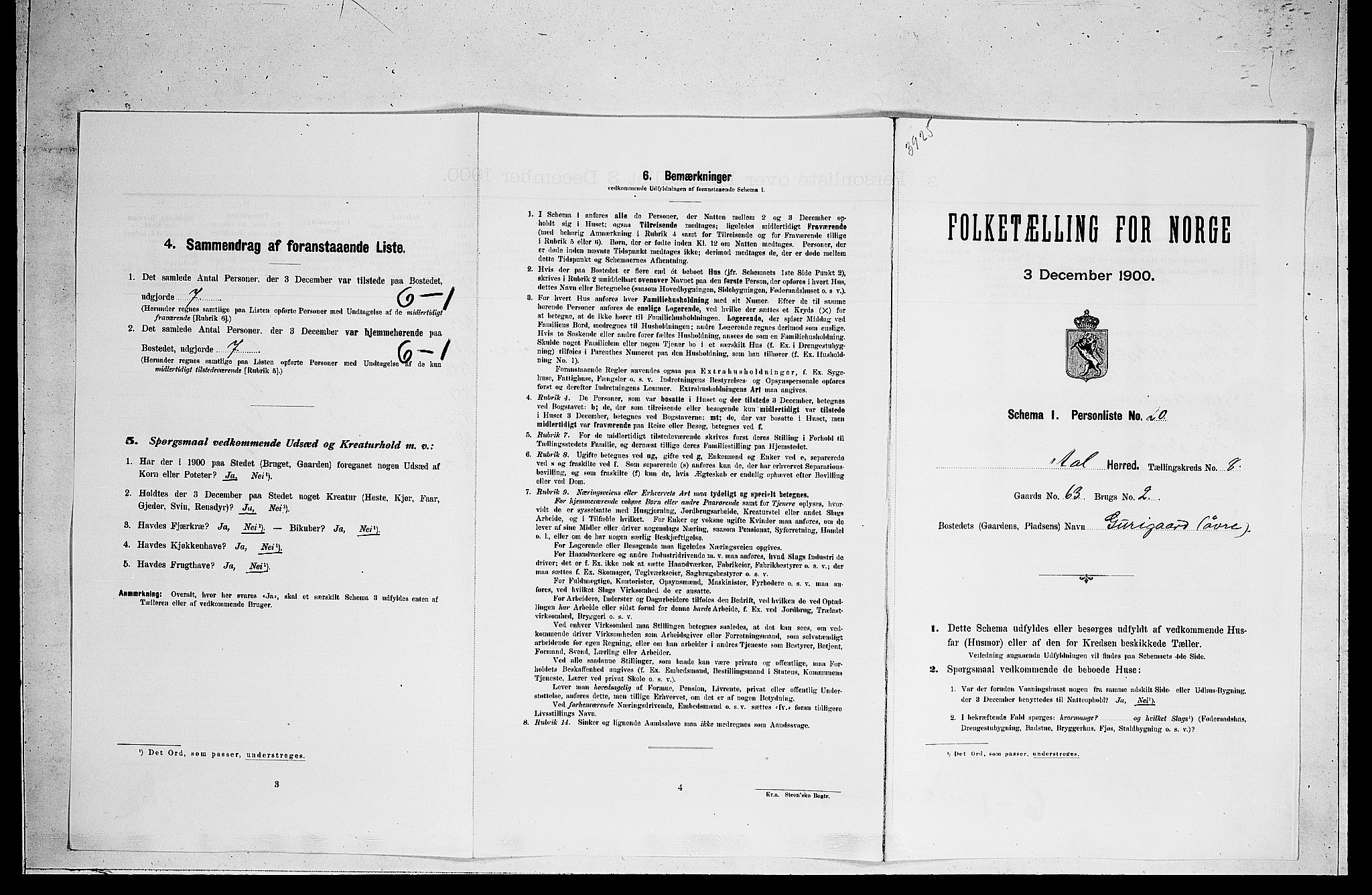 RA, Folketelling 1900 for 0619 Ål herred, 1900, s. 719
